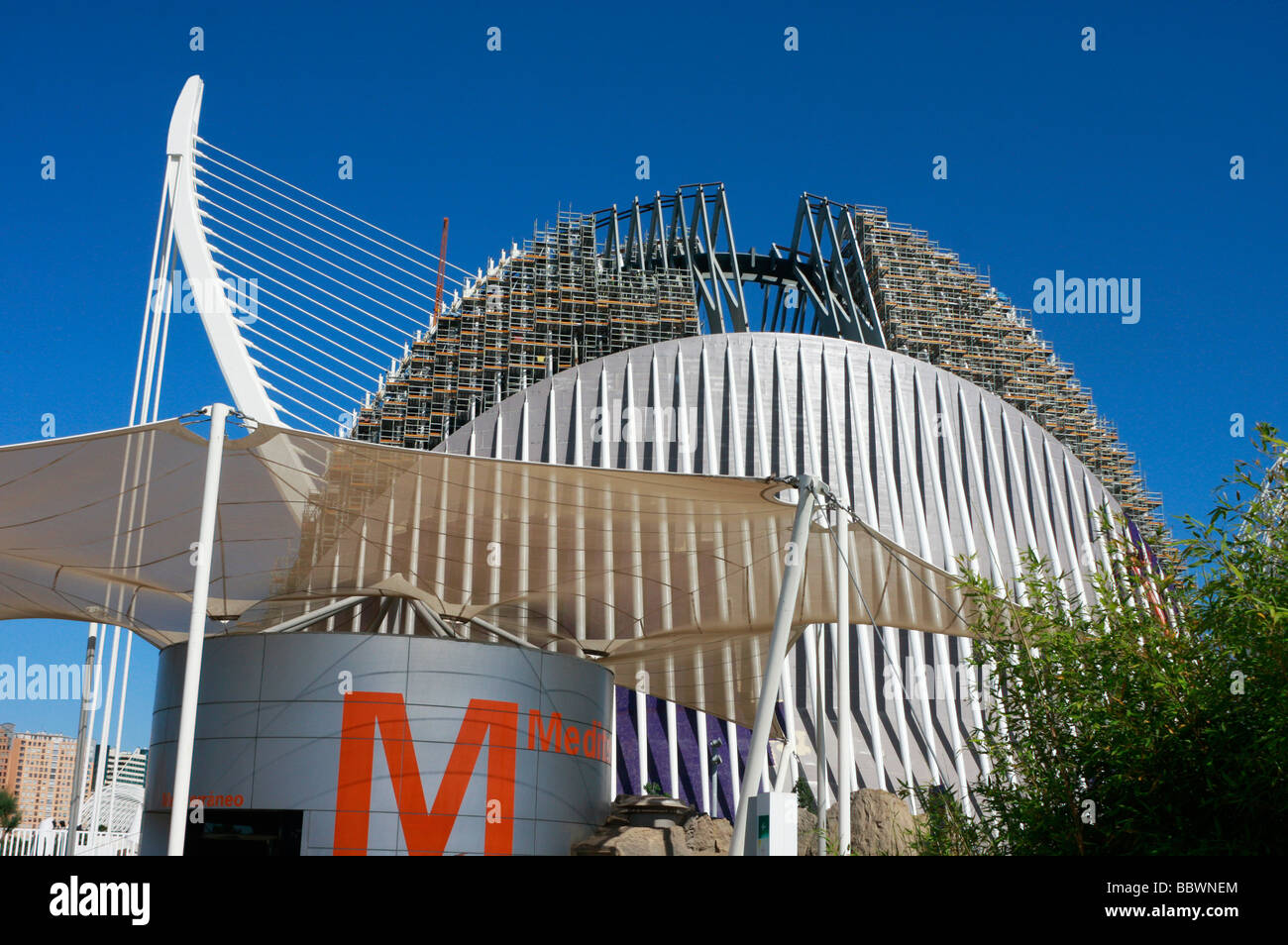 Progettato da Calatrava,L'Oceanografic di Valencia, la Città delle Arti e delle Scienze è una straordinaria collezione di moderni architectiure Foto Stock