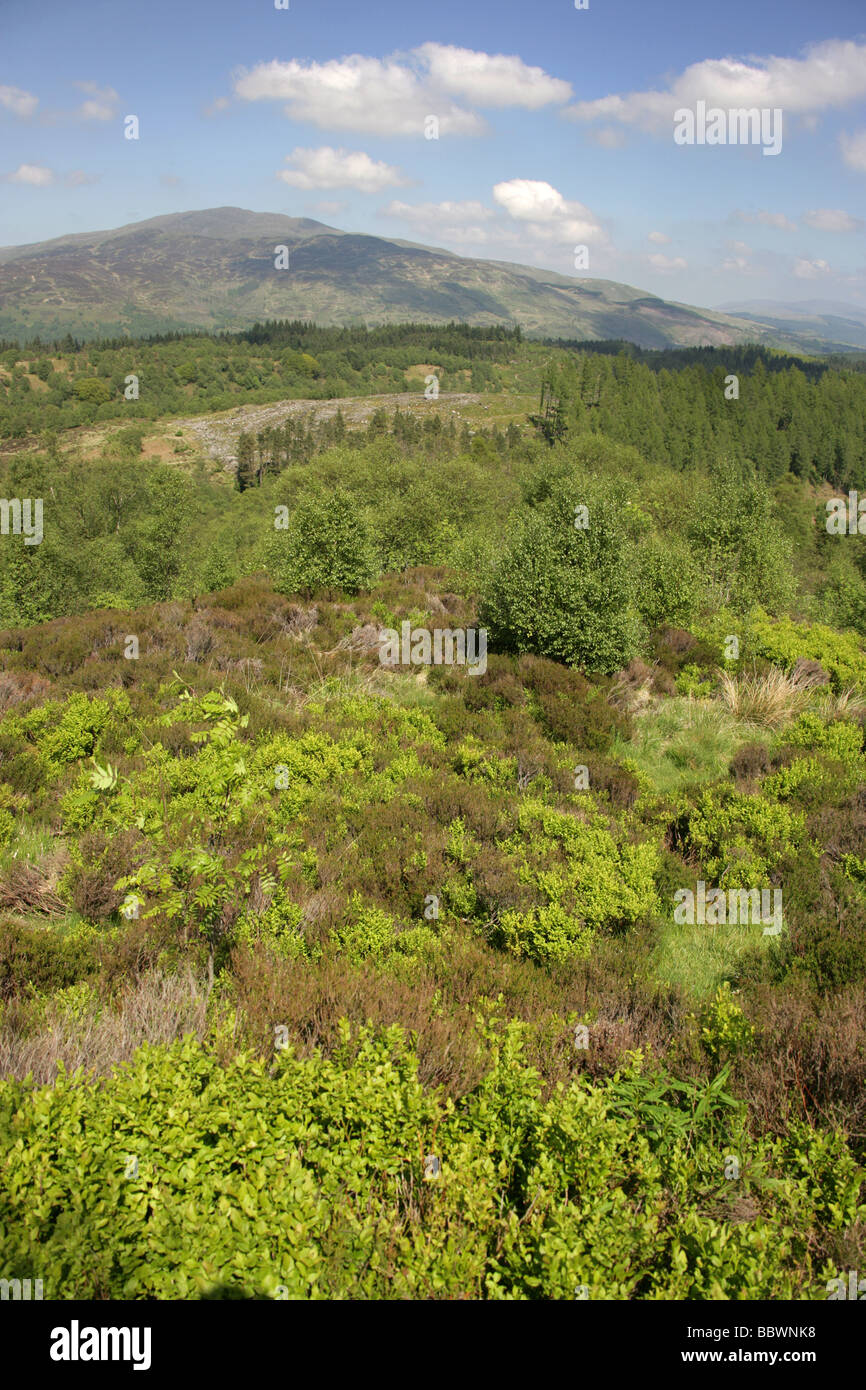 Trossachs, Scozia. Vista del Trossachs e Queen Elizabeth Forest Park e guardando a nord est. Foto Stock