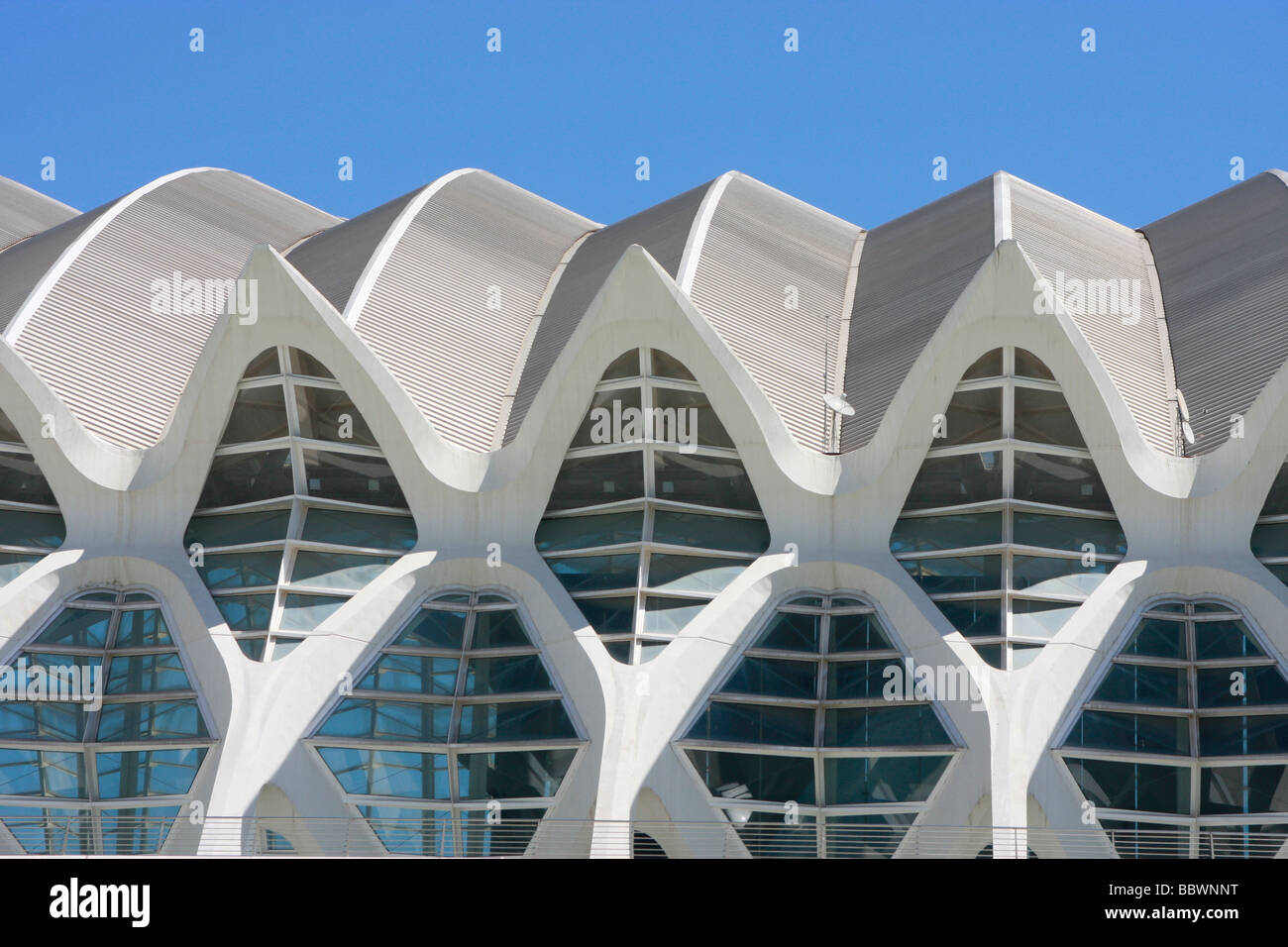 Progettato da Santiago Calatrava,Valencia, la Città delle Arti e delle Scienze è una straordinaria collezione di architettura moderna Foto Stock