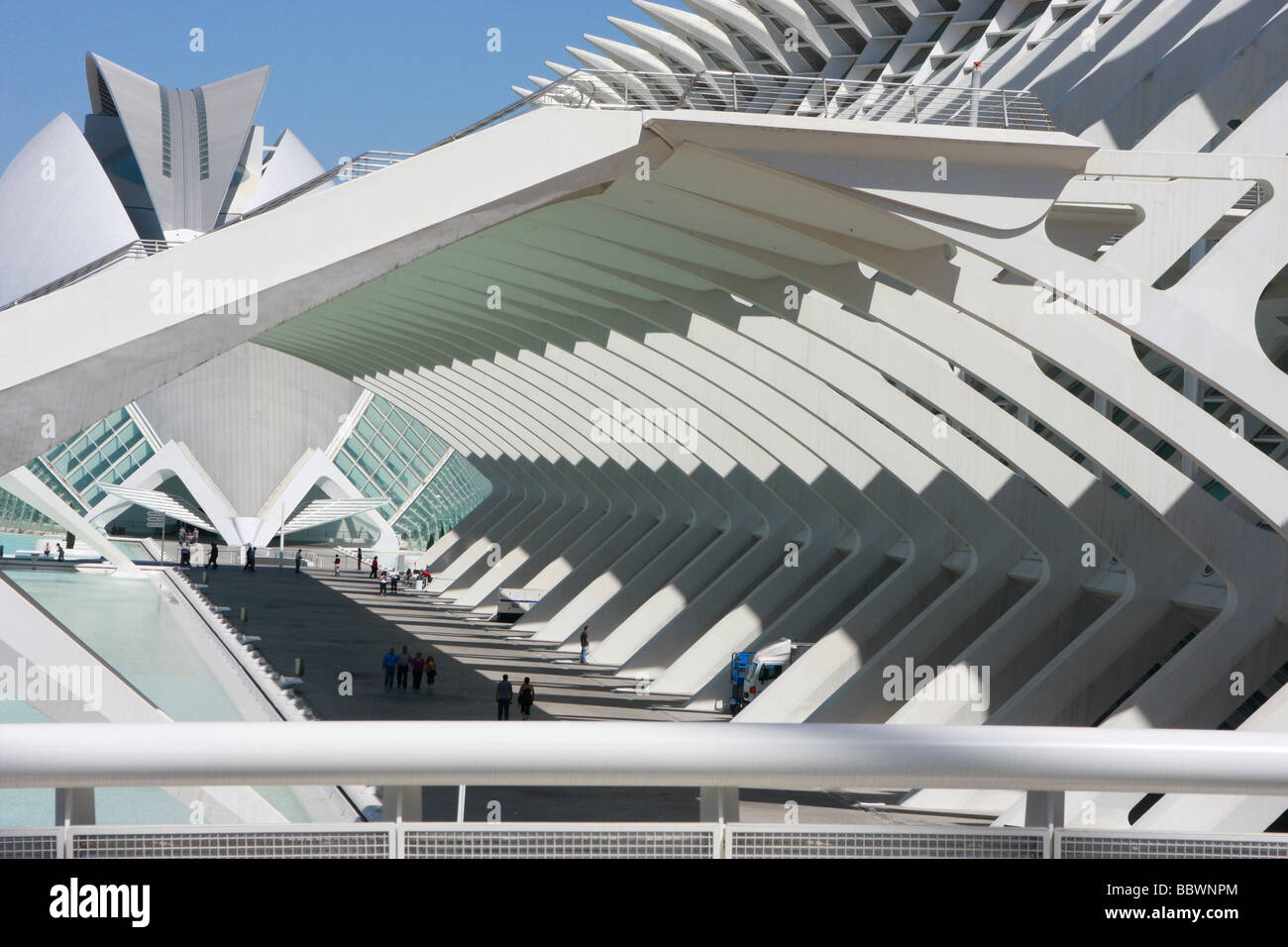 Progettato da Santiago Calatrava,Valencia, la Città delle Arti e delle Scienze è una straordinaria collezione di architettura moderna Foto Stock
