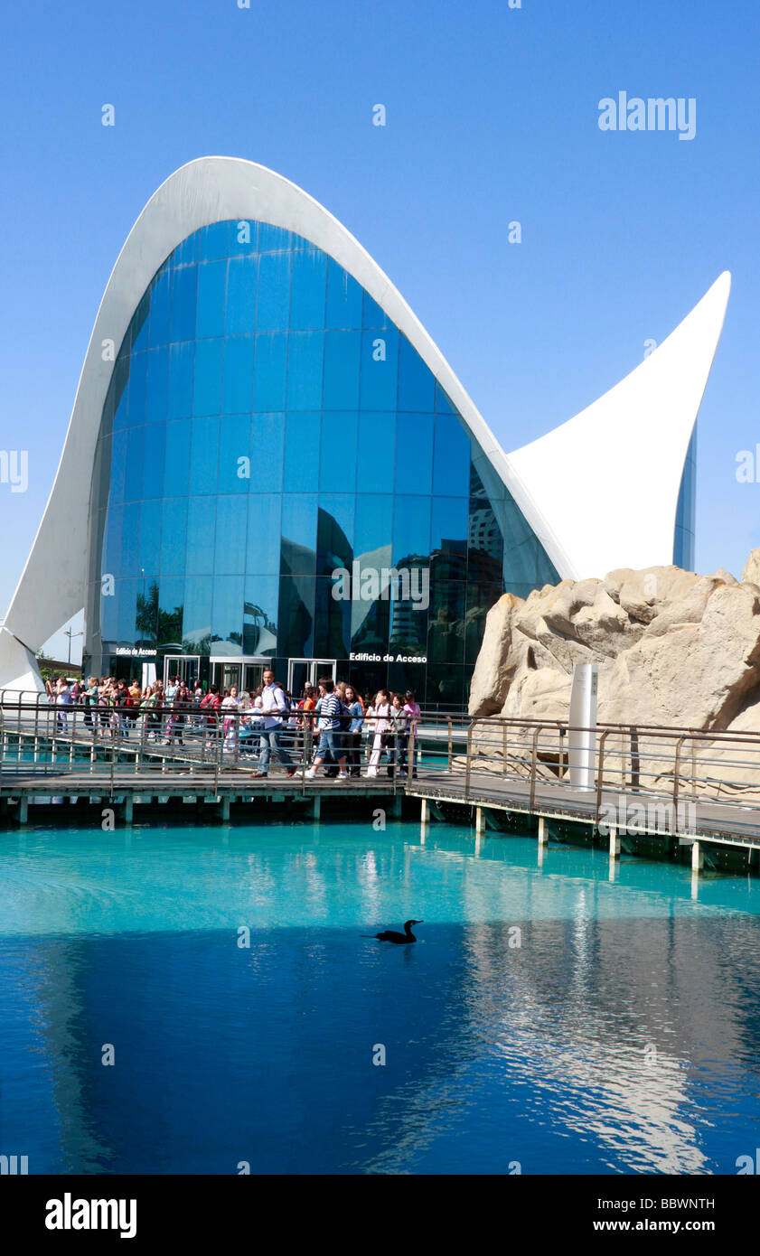 Progettato da Calatrava,L'Oceanografic di Valencia, la Città delle Arti e delle Scienze è una straordinaria collezione di moderni architectiure Foto Stock
