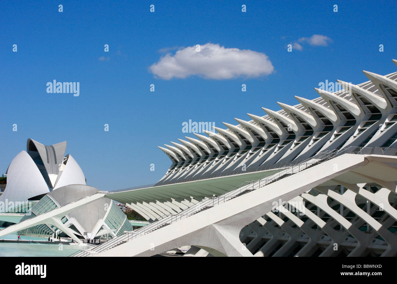 Progettato da Santiago Calatrava,Valencia, la Città delle Arti e delle Scienze è una straordinaria collezione di architettura moderna Foto Stock