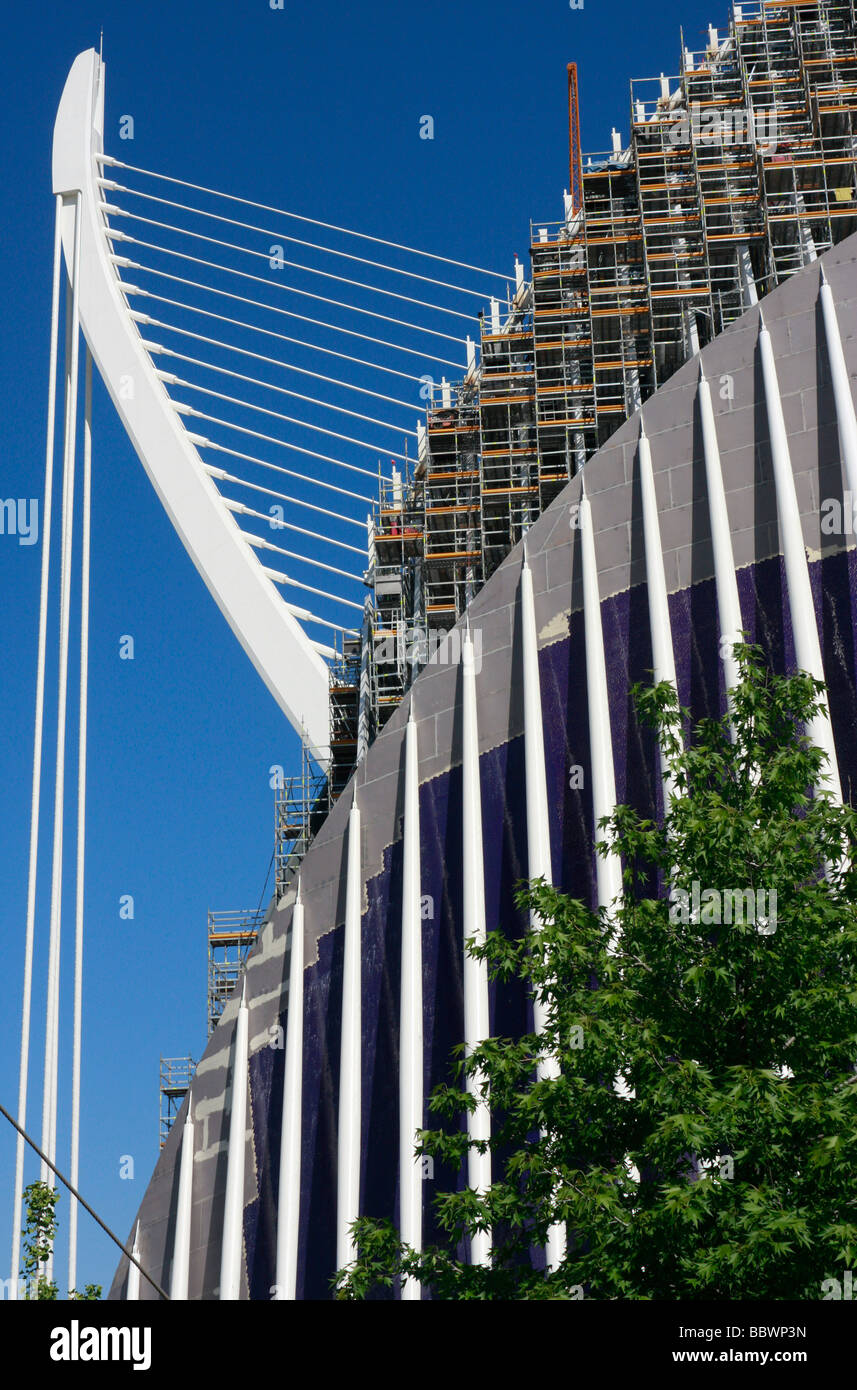 Progettato da Santiago Calatrava,Valencia, la Città delle Arti e delle Scienze è una straordinaria collezione di architettura moderna Foto Stock