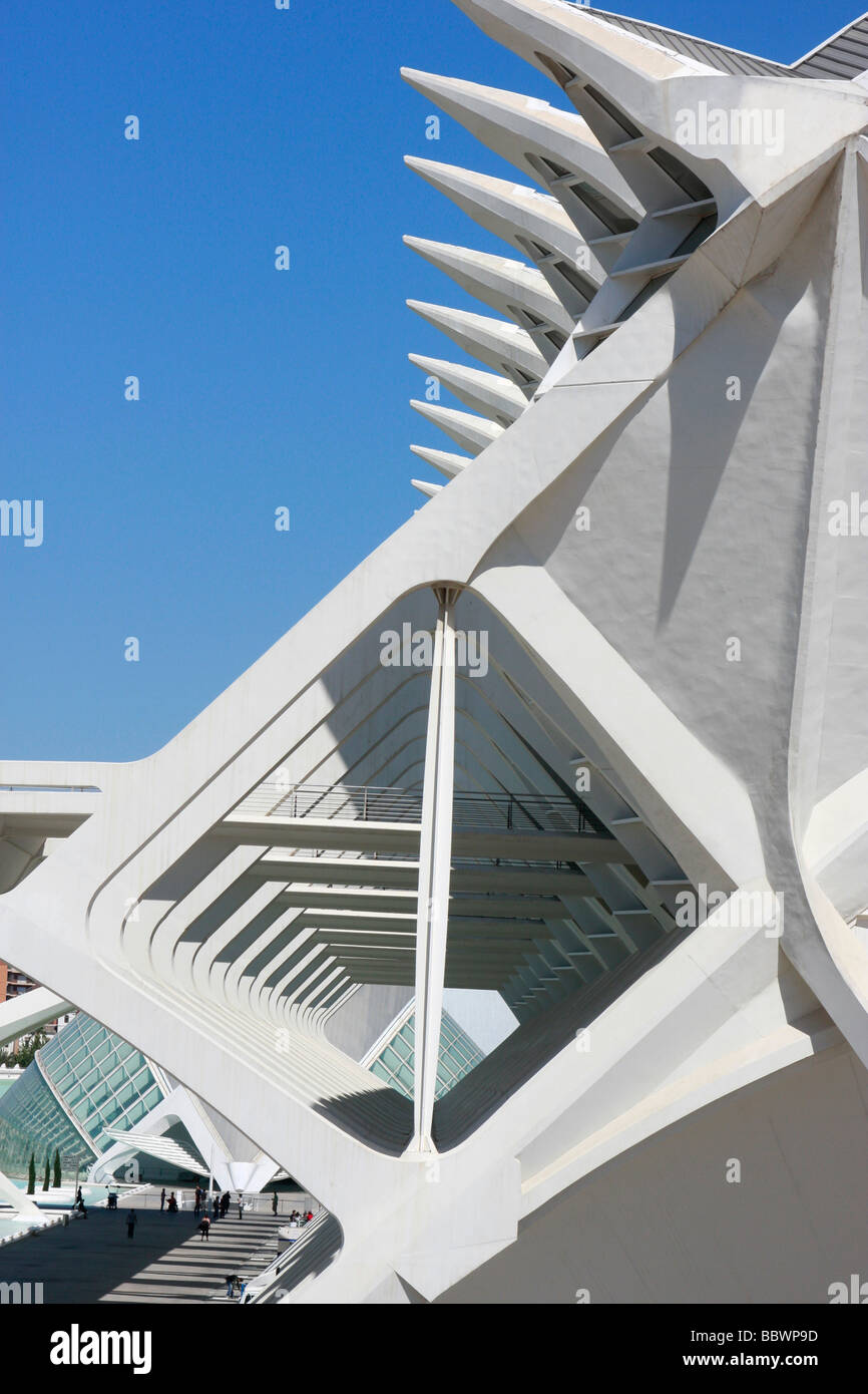 Progettato da Santiago Calatrava,Valencia, la Città delle Arti e delle Scienze è una straordinaria collezione di architettura moderna Foto Stock