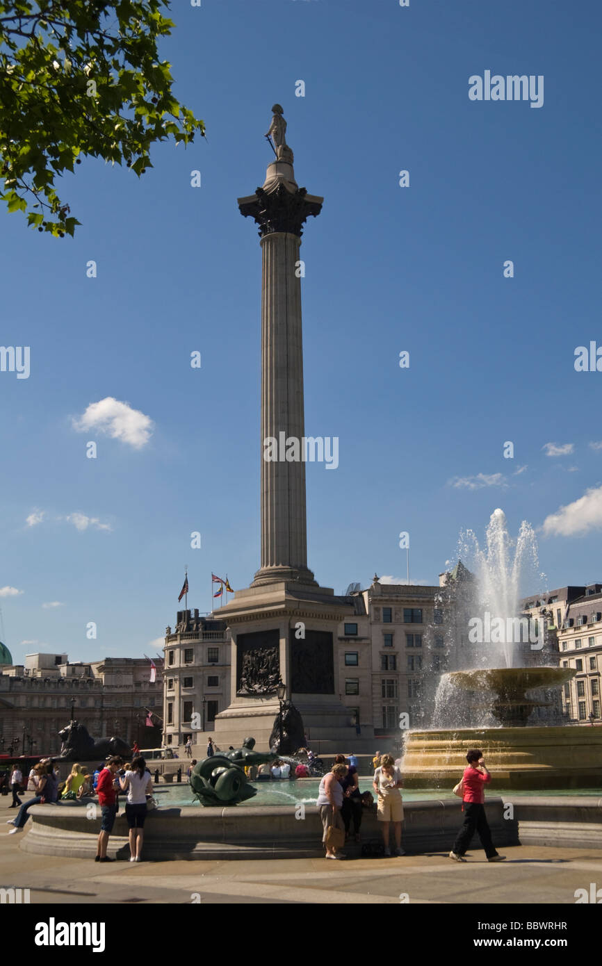 Nelsons Column Trafalgar Square London REGNO UNITO Foto Stock