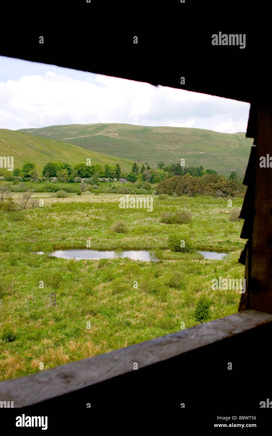 Ettrick Paludi - di proprietà della Commissione Forestale e gestito dai confini della foresta di fiducia per conservare gli habitat di aree inondabili Foto Stock