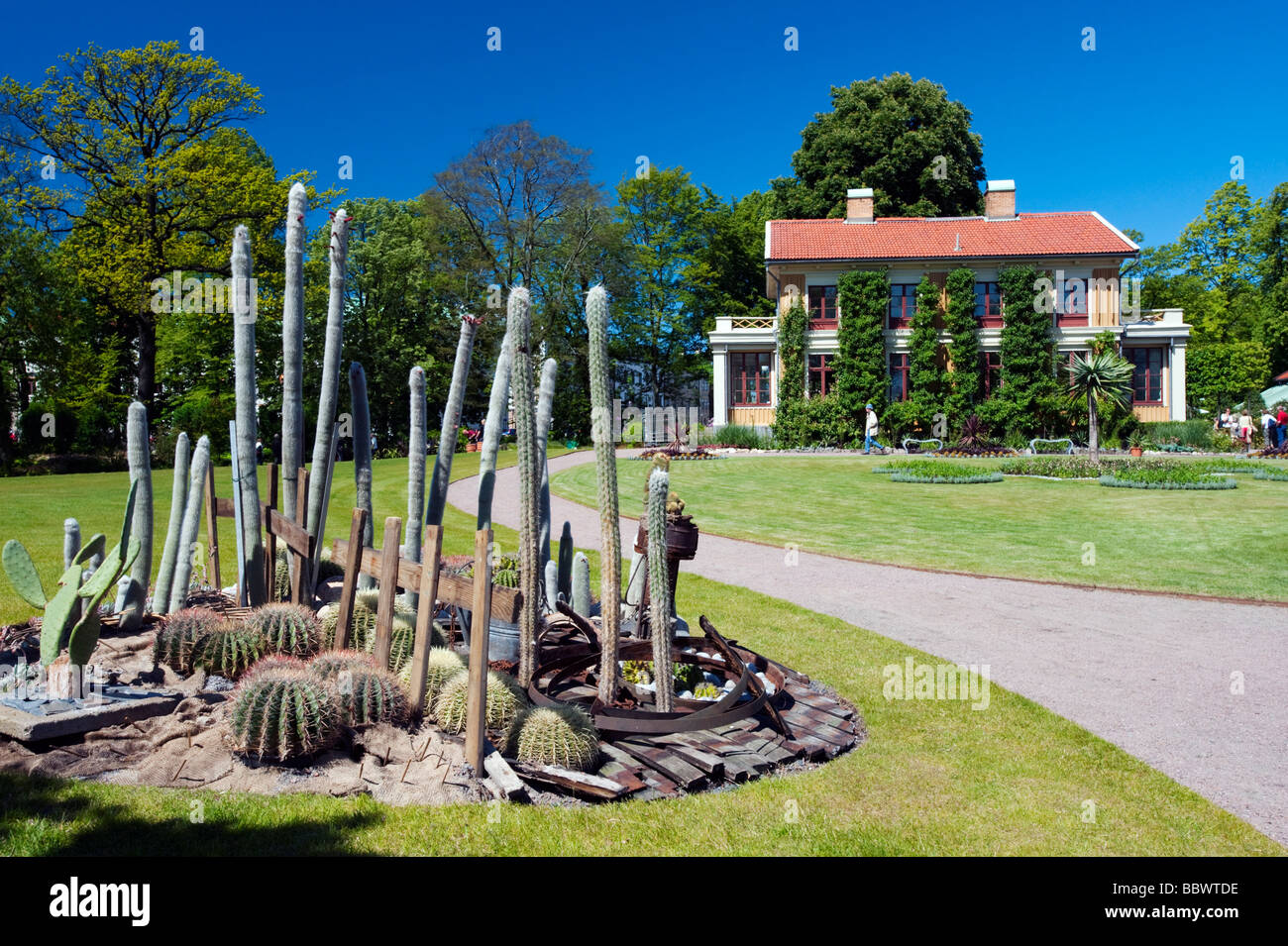 Display di cactus nel Parco Tradgardsforeningen a Göteborg in Svezia Foto Stock