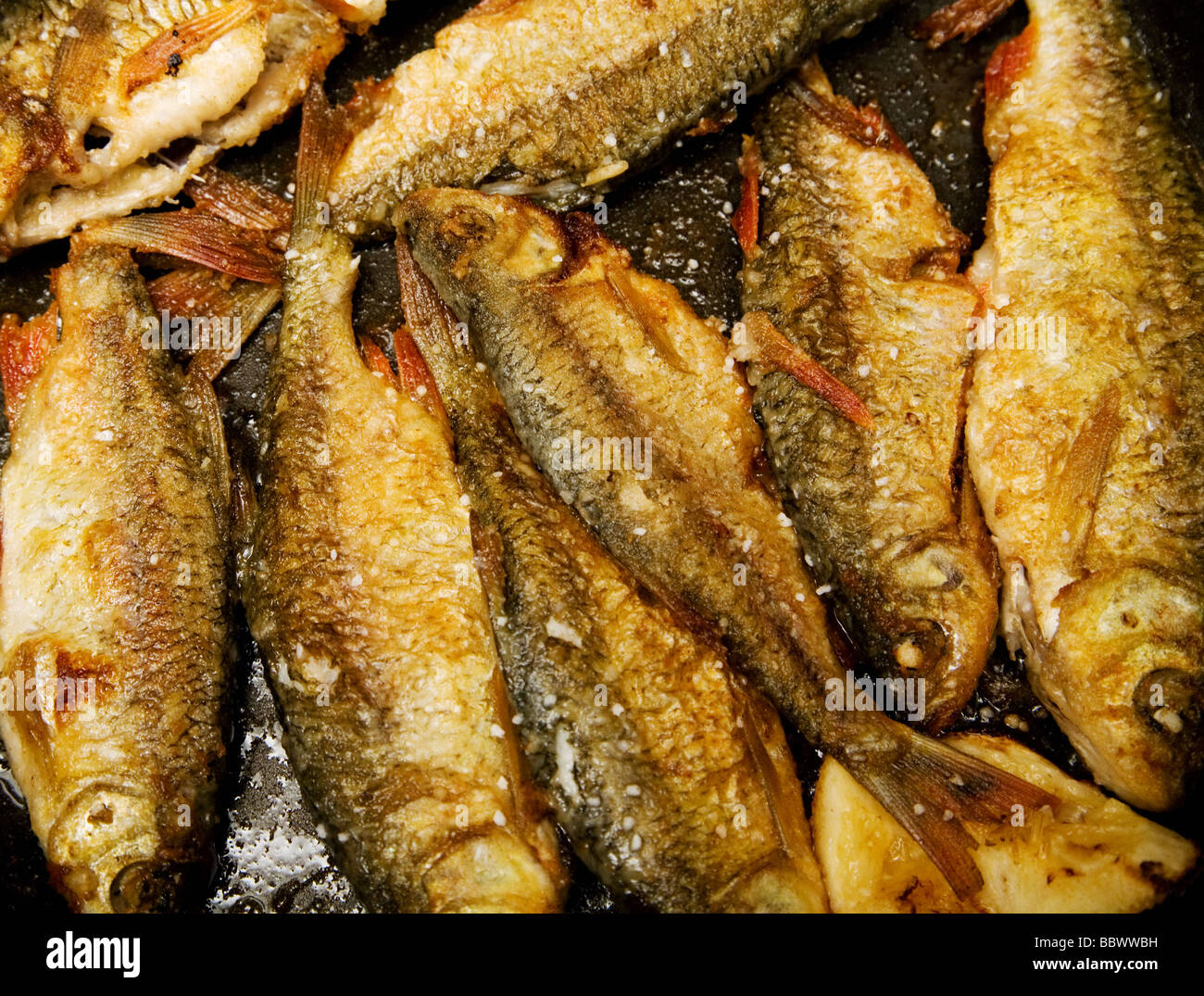 Pesce fritto per la pan Foto Stock