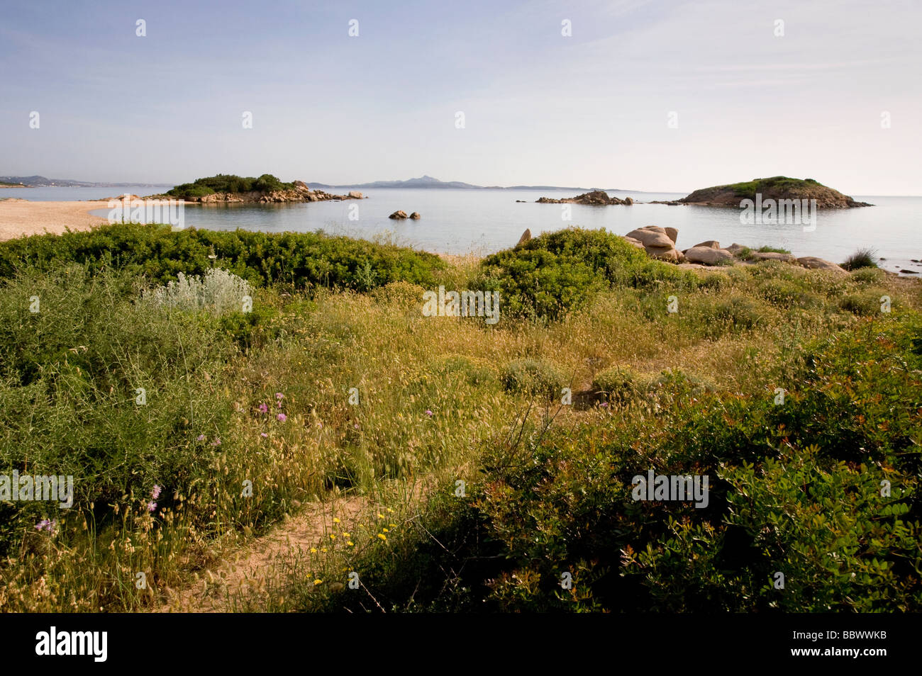 Percorso Verdeggiante Di Una Spiaggia Isolata A Nord Di