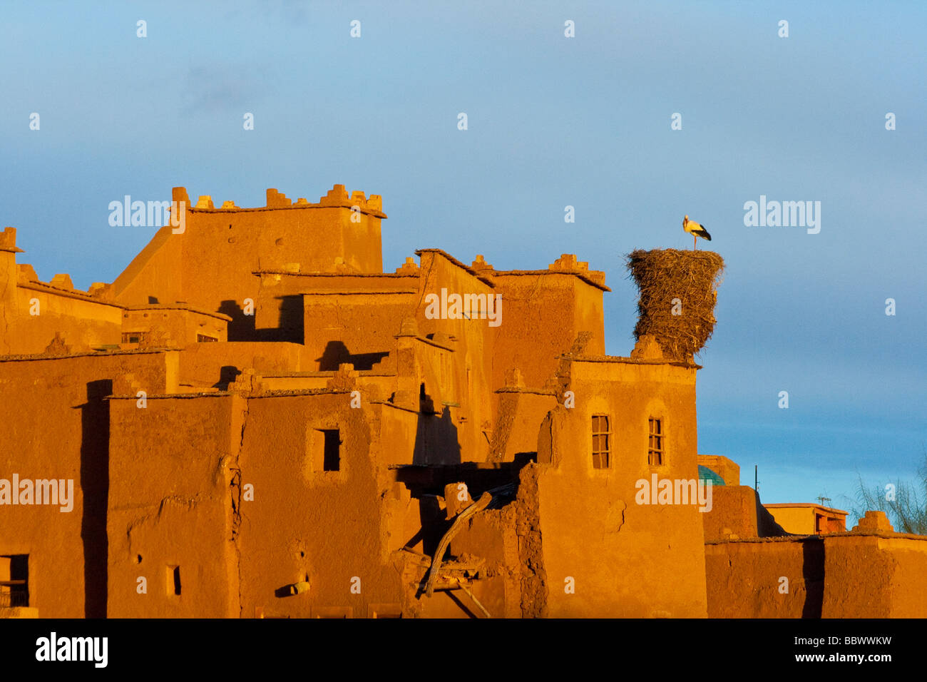 Nido di cicogna sulla Taourirt Kasbah di Ouarzazate in Marocco in Nord Africa Foto Stock