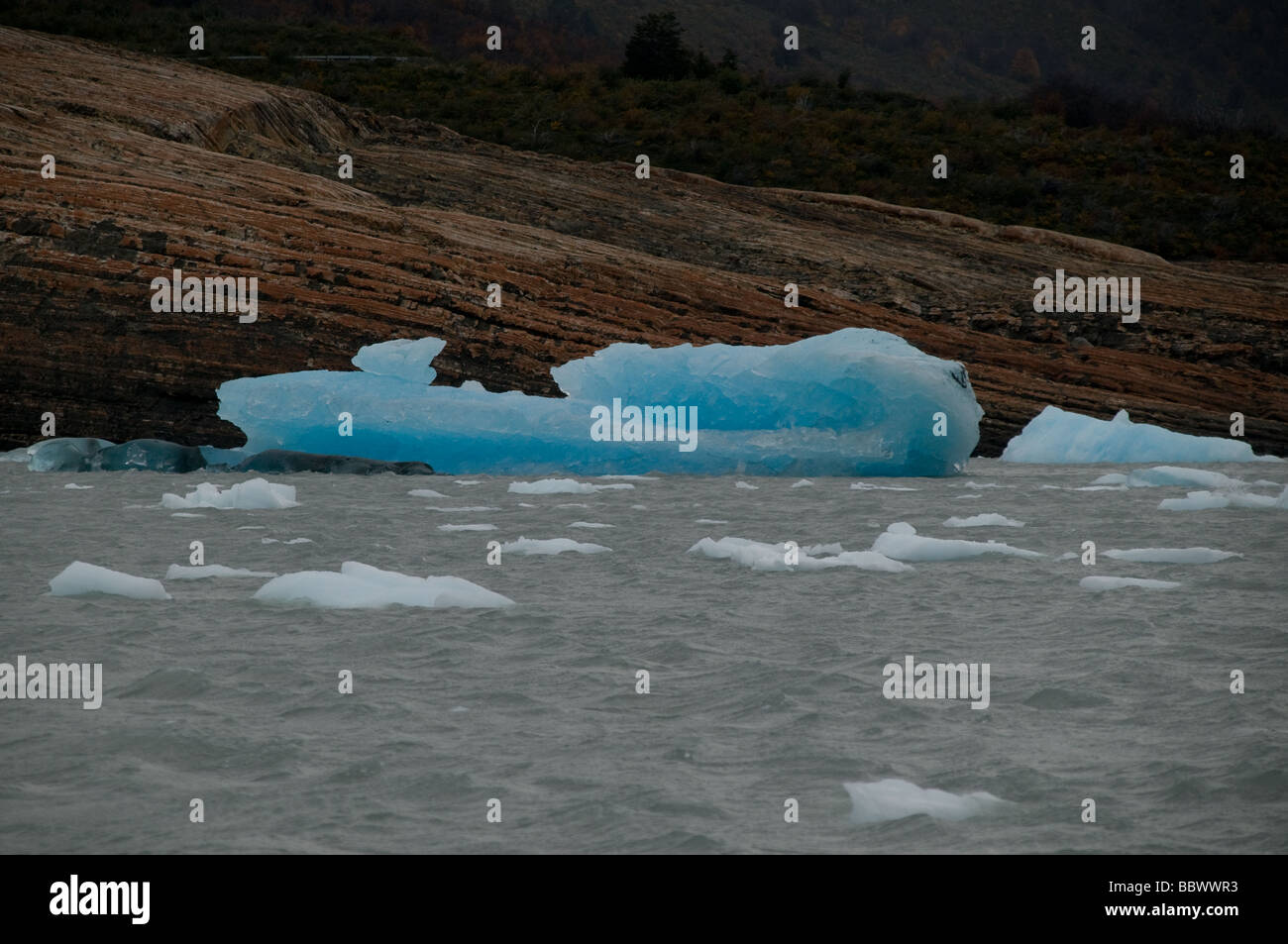 Iceberg galleggianti nel Lago Argentino oltre il Ghiacciaio Perito Moreno, parco nazionale Los Glaciares , El Calafate, Santa Cruz Foto Stock