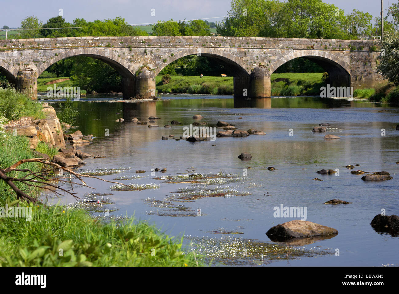 Il vecchio ponte di pietra sul fiume derg in castlederg County Tyrone Irlanda del Nord Regno Unito Foto Stock