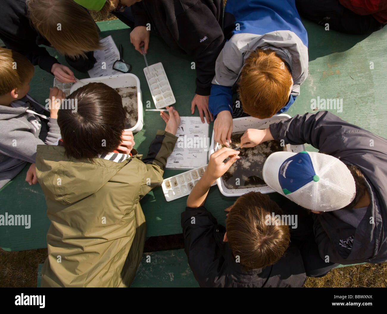 Gruppo di bambini di esplorare gli invertebrati, Yukon Outdoor programma scolastico, Dipartimento della Pesca e degli oceani, DFO, mcintyre Cree Foto Stock