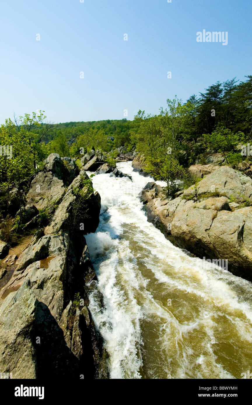 Correndo acqua grande cade VA Fiume Potomac cascate rocce blocca C O Canal Chesapeake e Ohio Canal Washington DC Foto Stock