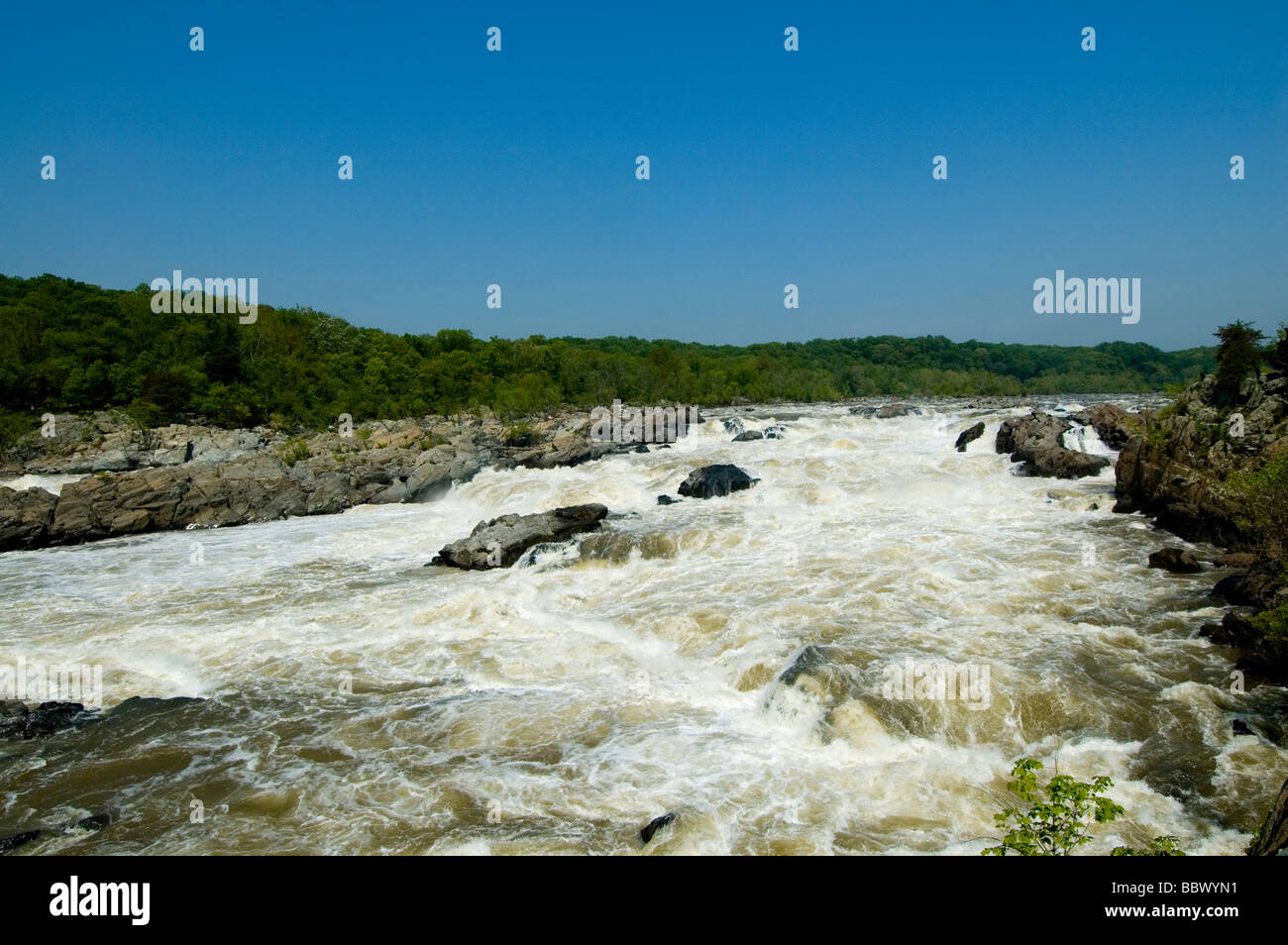Correndo acqua grande cade VA Fiume Potomac cascate rocce blocca C O Canal Chesapeake e Ohio Canal Washington DC Foto Stock