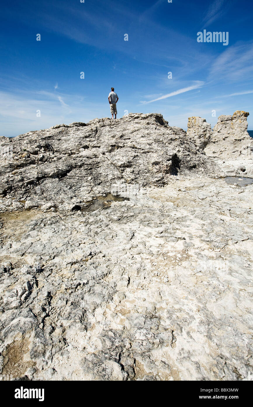 Raukar sull isola di Faro Gotland Svezia. Foto Stock