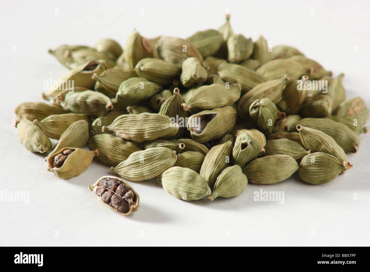 Cardamomo verde è un famoso Indian Spice con molti usi Foto Stock