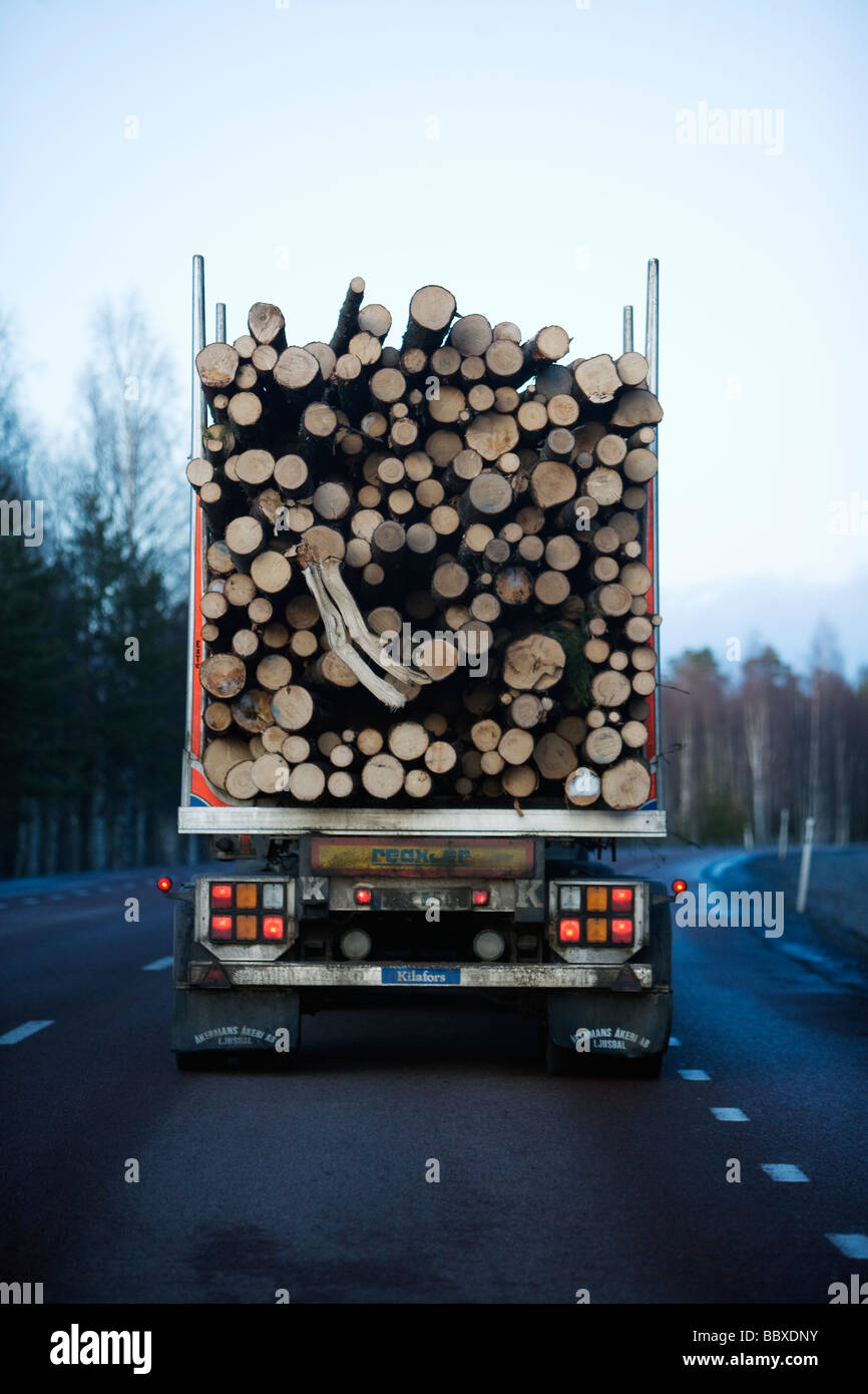 Una zattera di registro Norrland svedese. Foto Stock