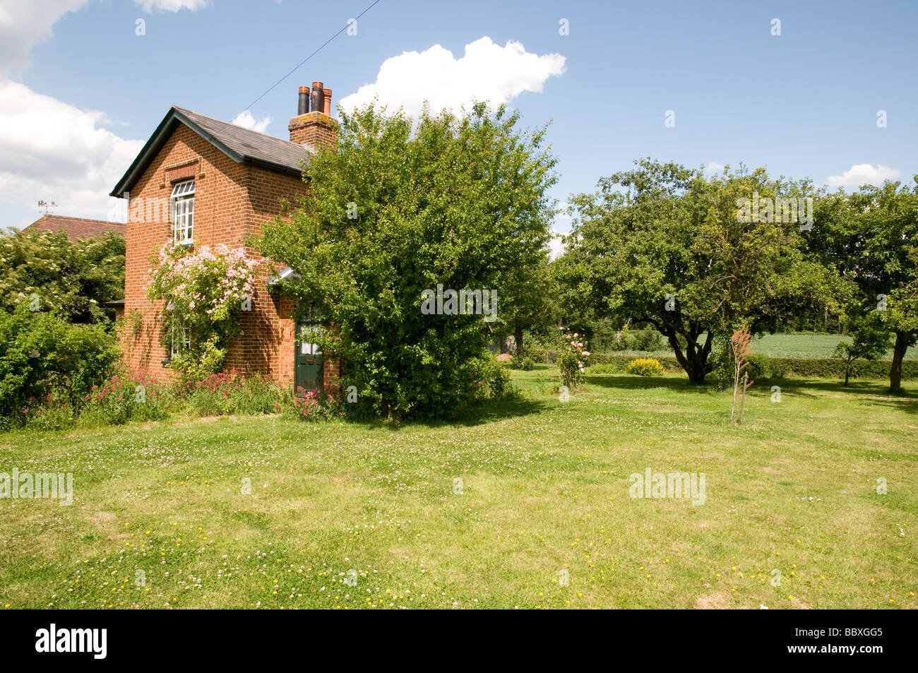 Una casa con un frutteto di svantaggio comune, Surrey, Inghilterra Foto Stock