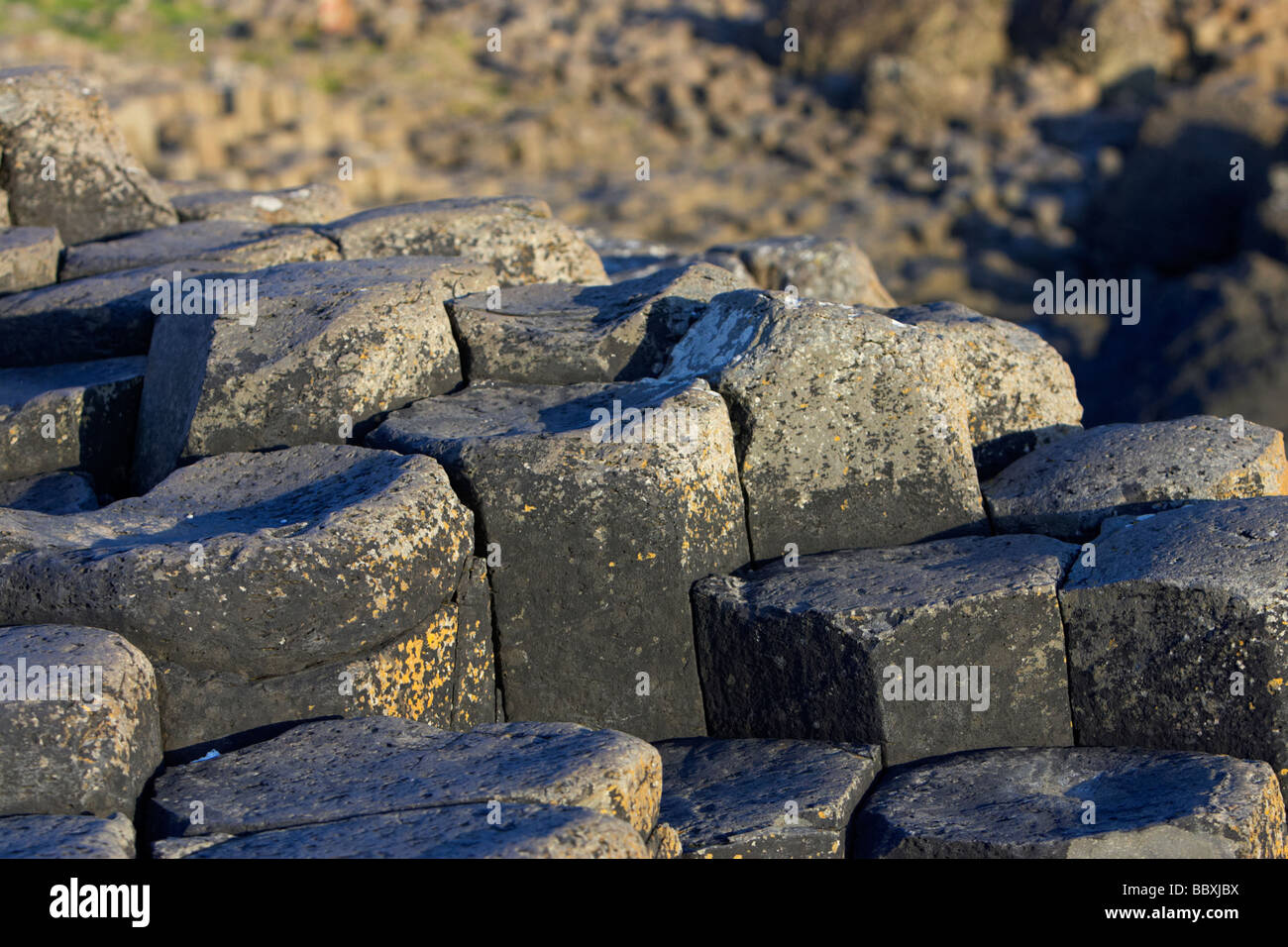 Esagonale a colonne di basalto passi sulla giants causeway County Antrim coast Irlanda del nord Europa Regno Unito Foto Stock