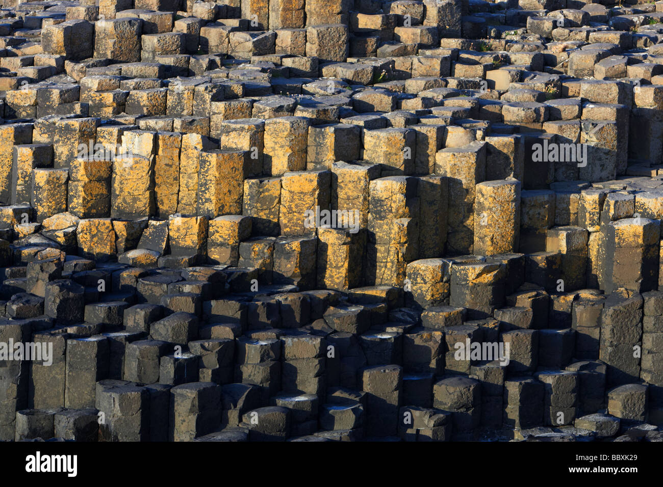 File di colonne di basalto giants causeway County Antrim coast Irlanda del nord Europa Regno Unito Foto Stock