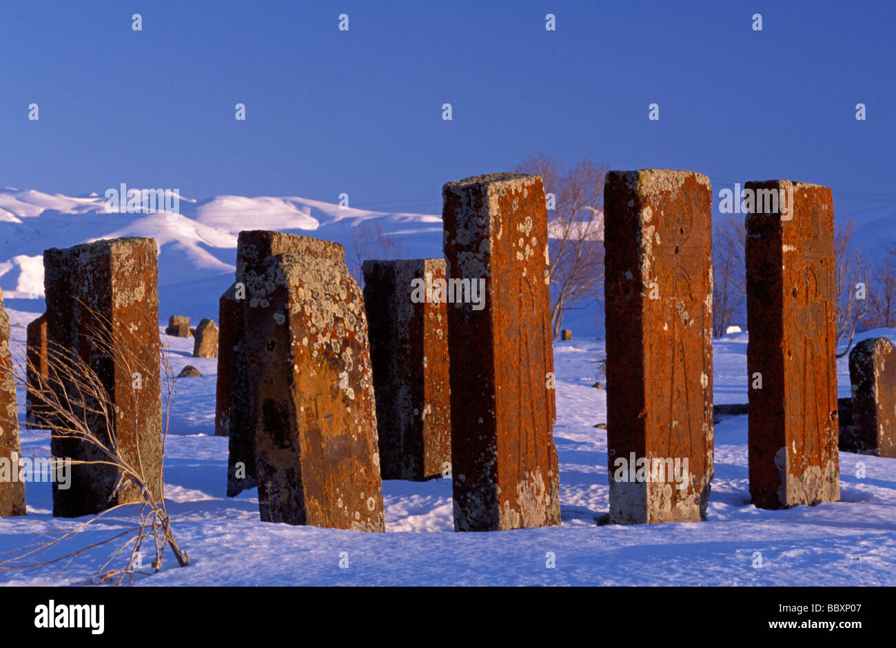 Ahlat grave pietre dal 12 secolo, Bitlis Turchia Foto Stock