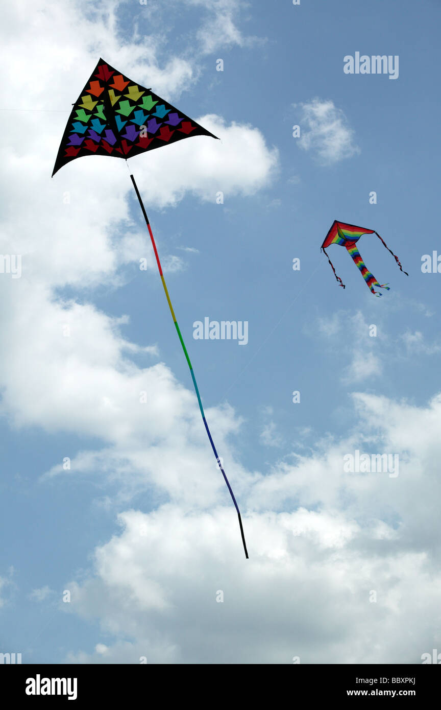 Una grande e colorata kite essendo visualizzati al Blackheath International Kite Festival 2009 Foto Stock