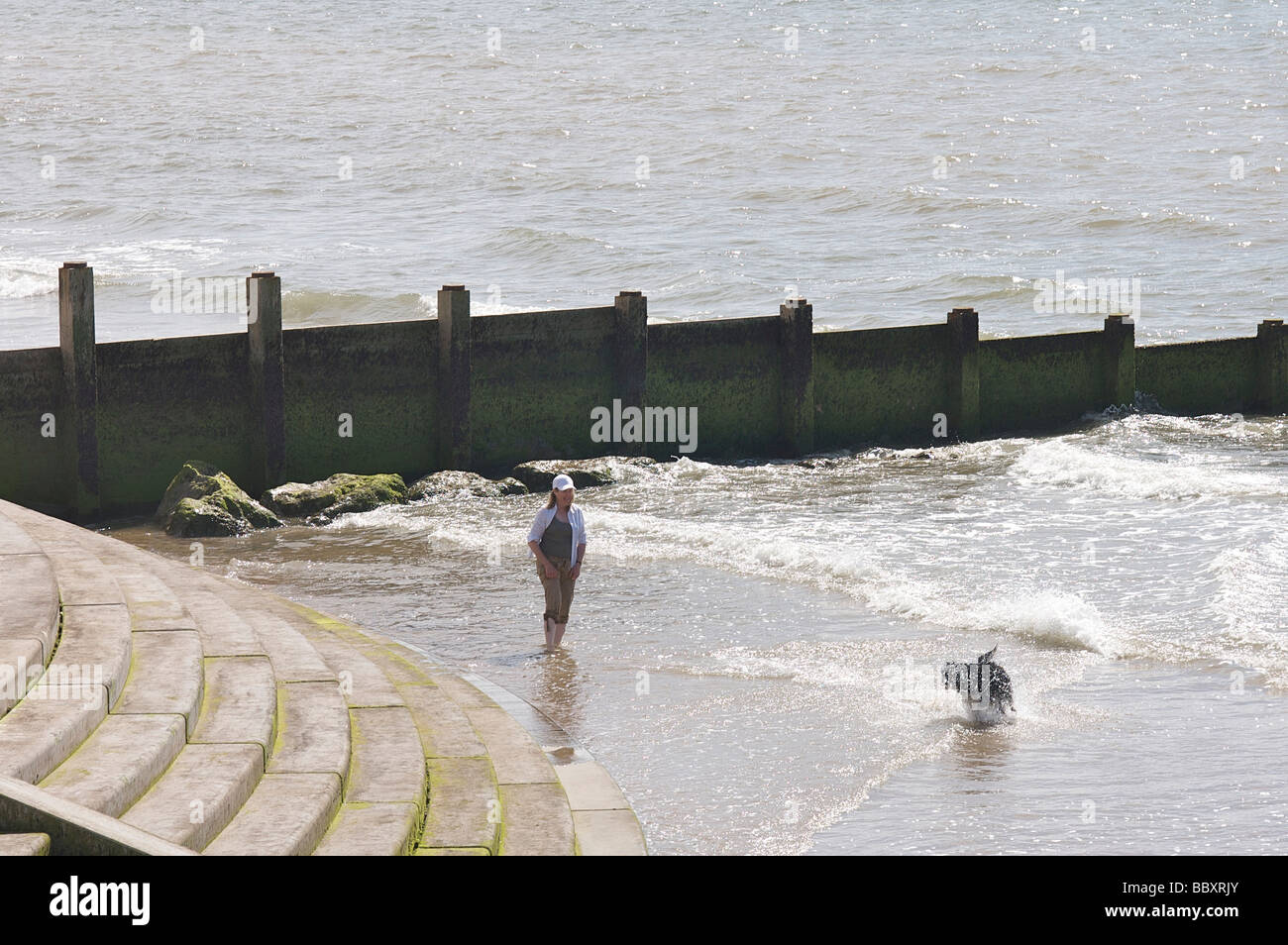 Donna e cane in mare a Cleveleys,UK Foto Stock