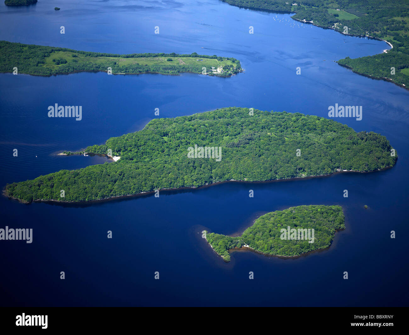 Isolotto alberato sul Loch Lomond, Scozia occidentale Foto Stock