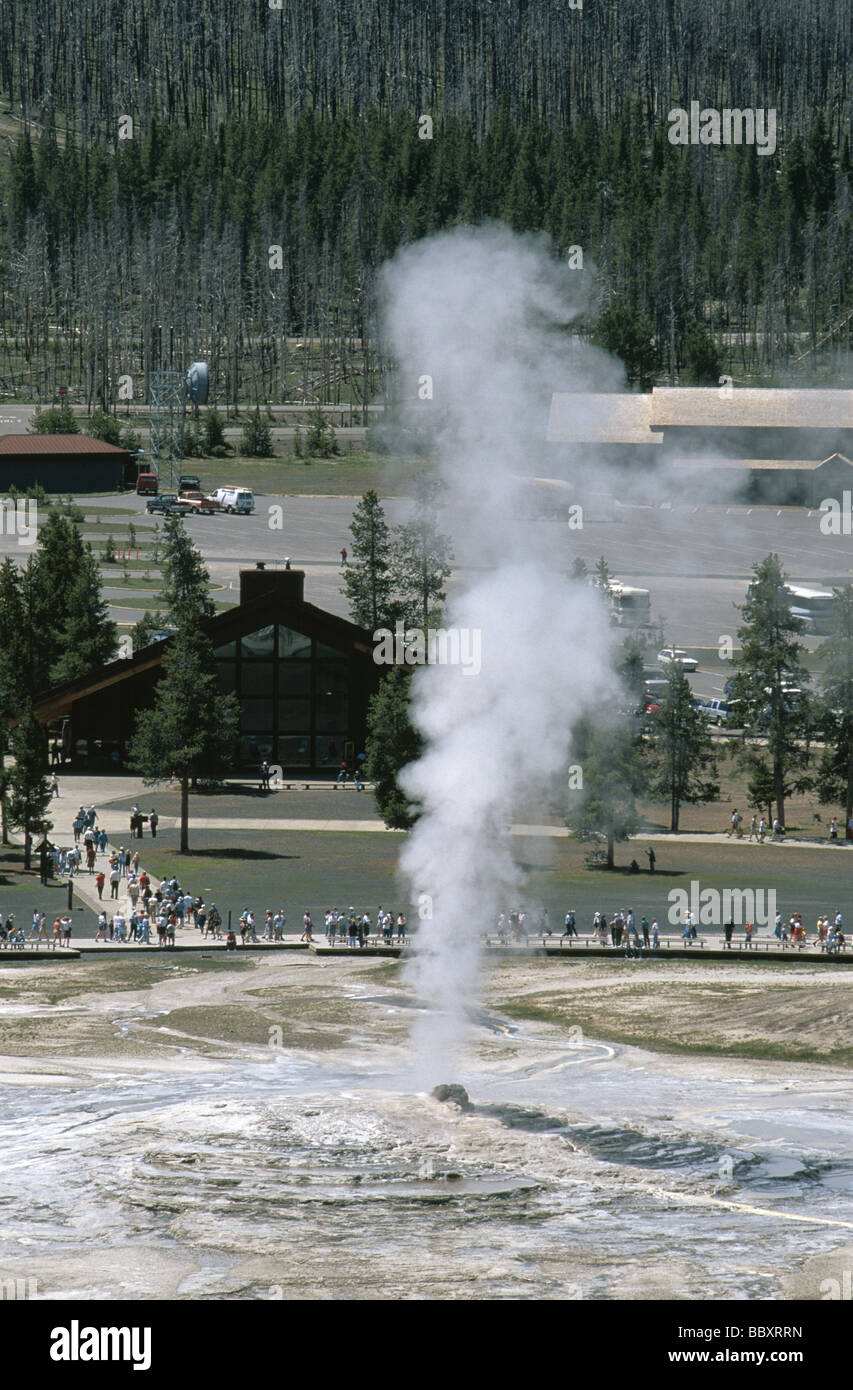 Geyser Old Faithful nel Parco Nazionale di Yellowstone Wyoming USA Foto Stock