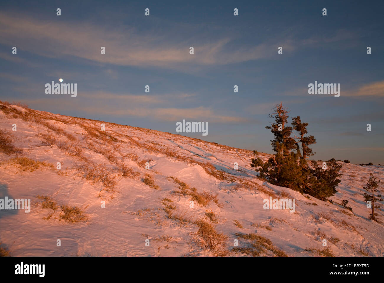 Tahoe Backcountry escursioni con le racchette da neve Sci e Snowboard Foto Stock