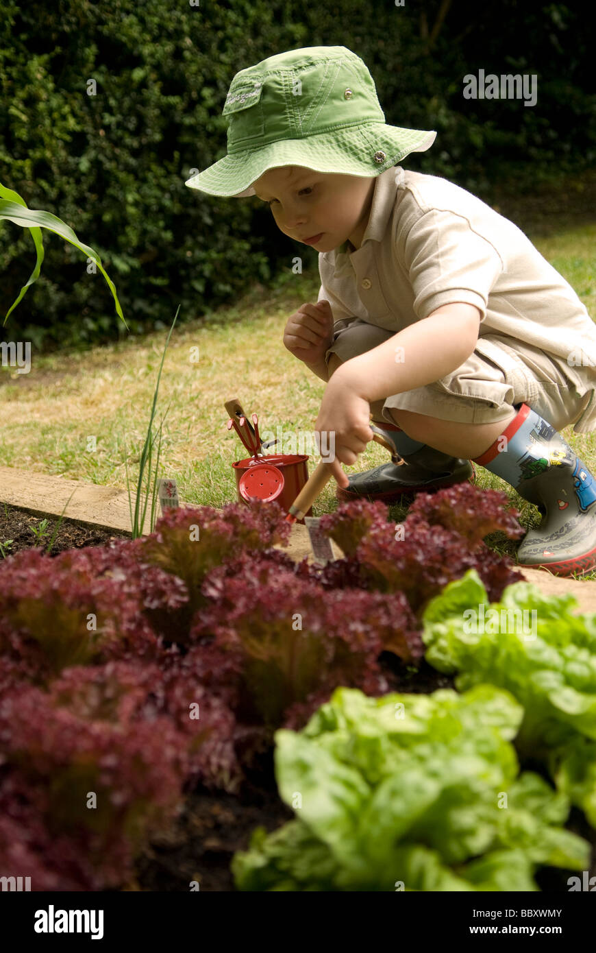 Ragazzo di 2 anni che si trova nel suo orto, Chawton, vicino ad Alton, Hampshire, UK. Foto Stock