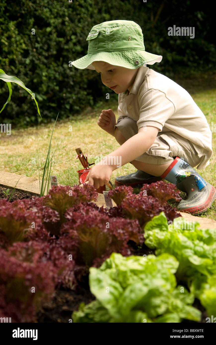 2 anno vecchio ragazzo tendendo il suo orto, Chawton, Hampshire REGNO UNITO Foto Stock