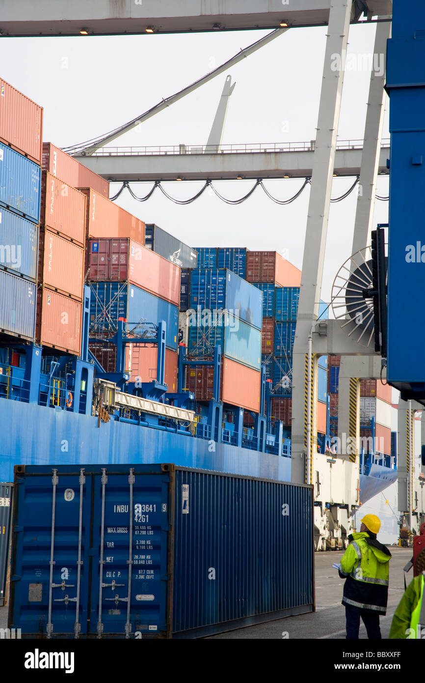 Scaricatore di porto si affaccia su contenitori a bordo di un container agganciato in attesa di essere scaricati. Foto Stock
