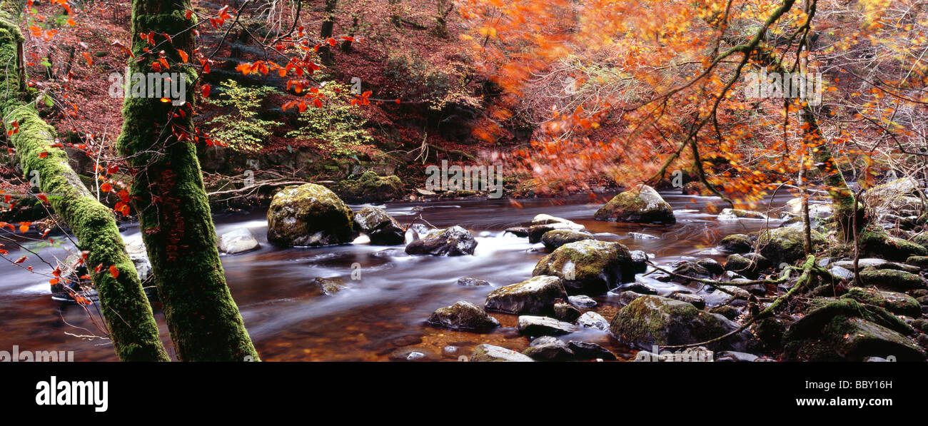 River Braan Dunkeld Perth Kinross in Scozia Foto Stock