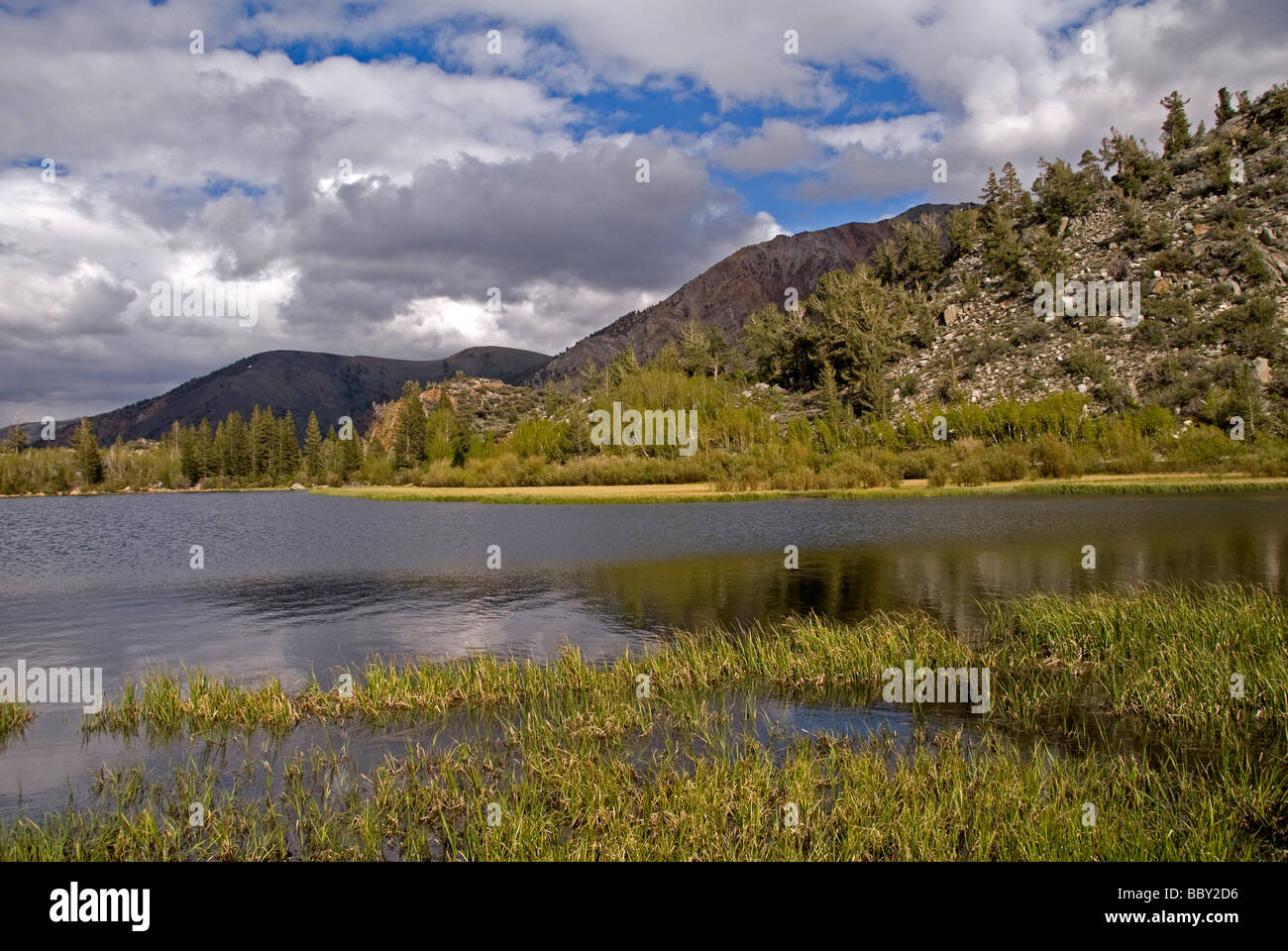 Il vescovo Creek Regione dell'est della catena montuosa della Sierra vicino al Vescovo California Stati Uniti la stagione primavera Foto Stock