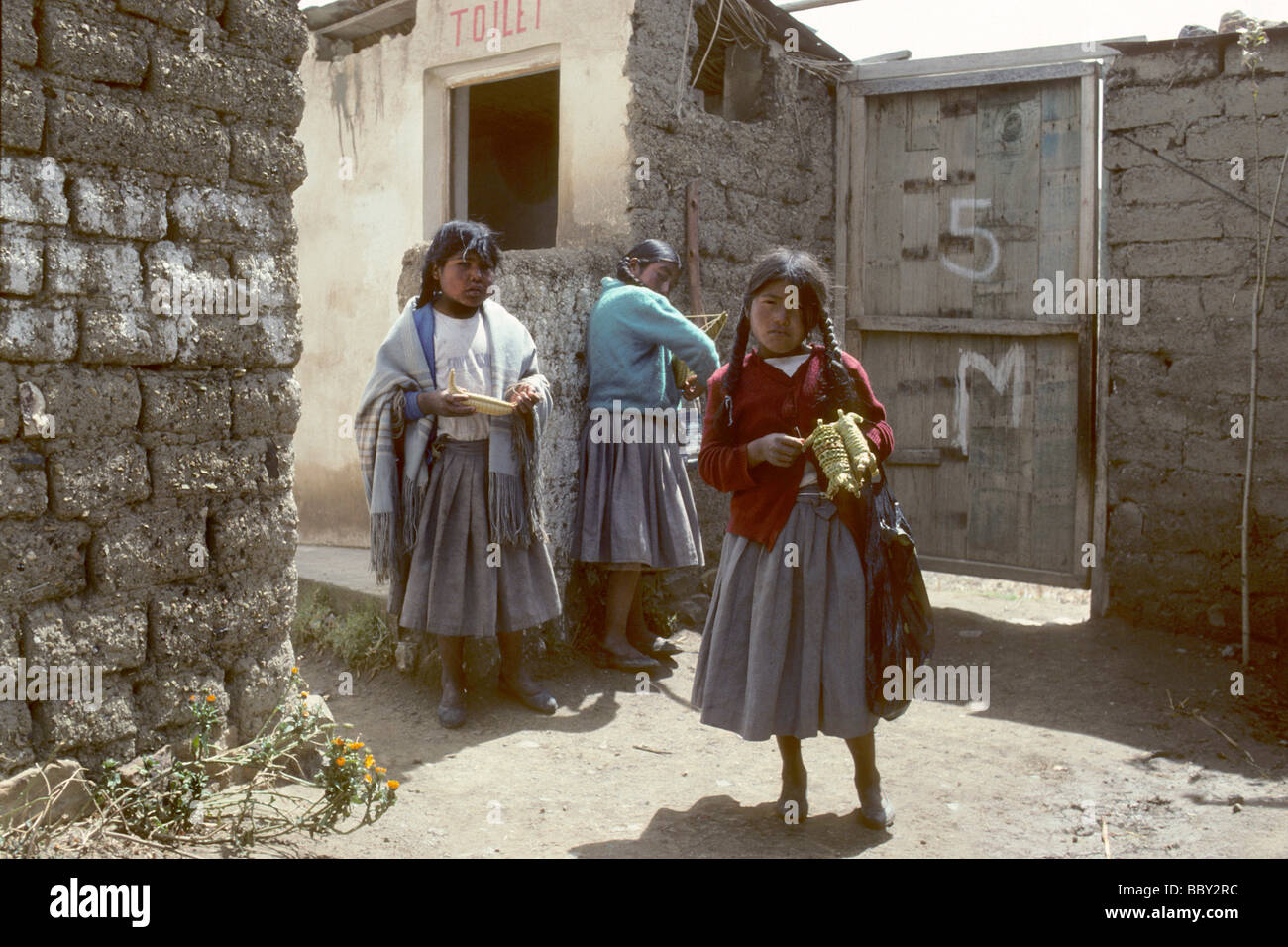 Bolivia suriqui isola Foto Stock