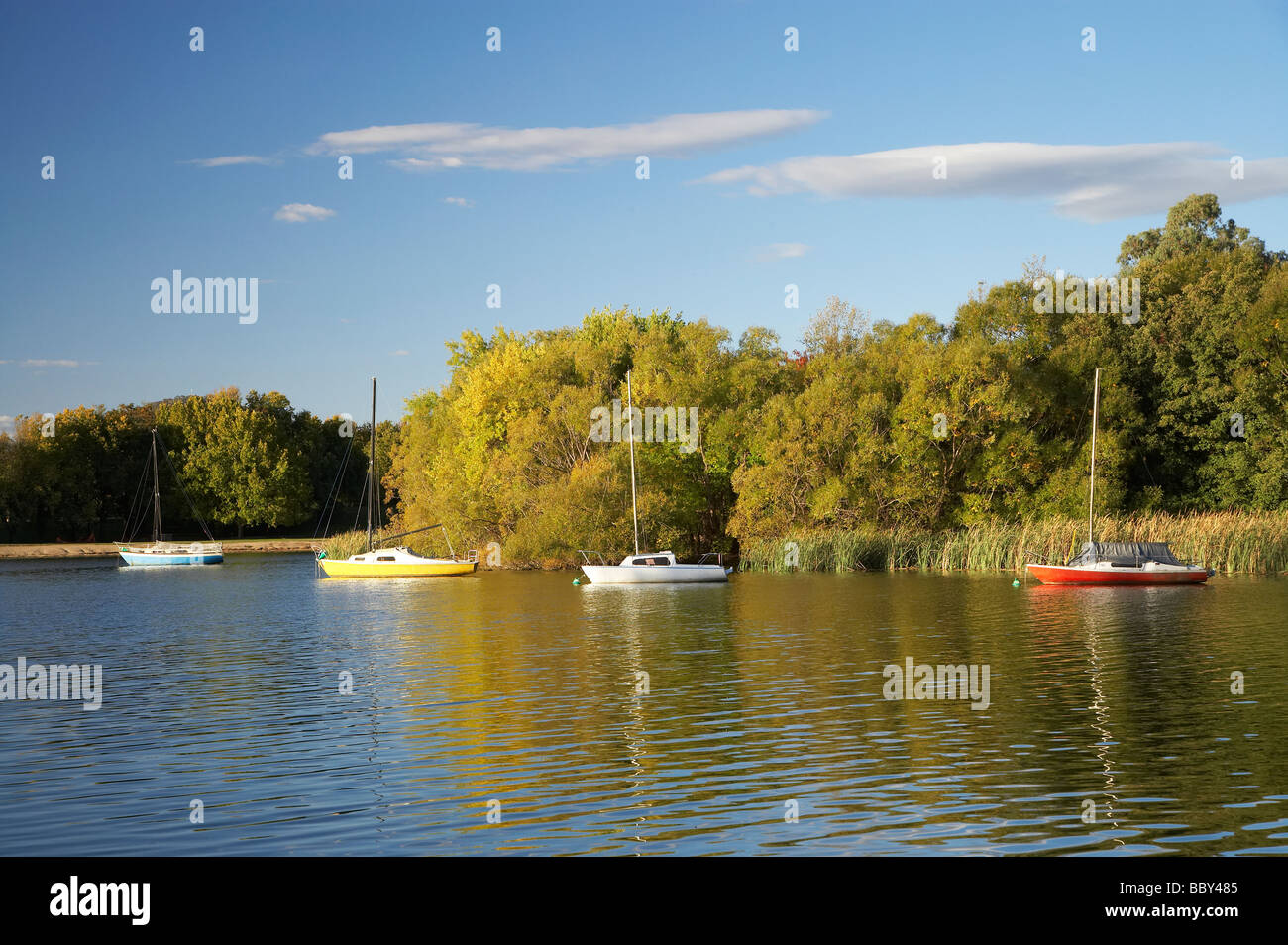 Ormeggiate barche e colori autunnali Lotus Bay Lago Burley Griffin atto di Canberra Australia Foto Stock