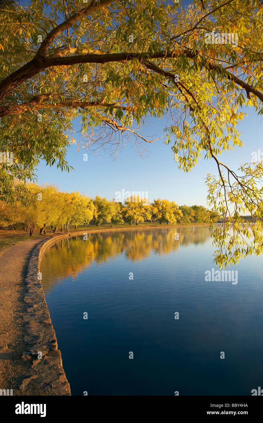 Colore di autunno Bowen Park riflessa nel Lago Burley Griffin atto di Canberra Australia Foto Stock