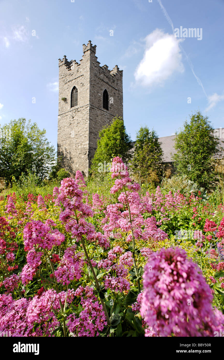 St Audoen s chiesa Dublino Repubblica di Irlanda Foto Stock
