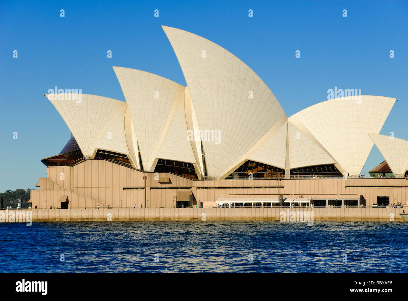 Profilo di famosi tetti della Opera House di Sydney Foto Stock