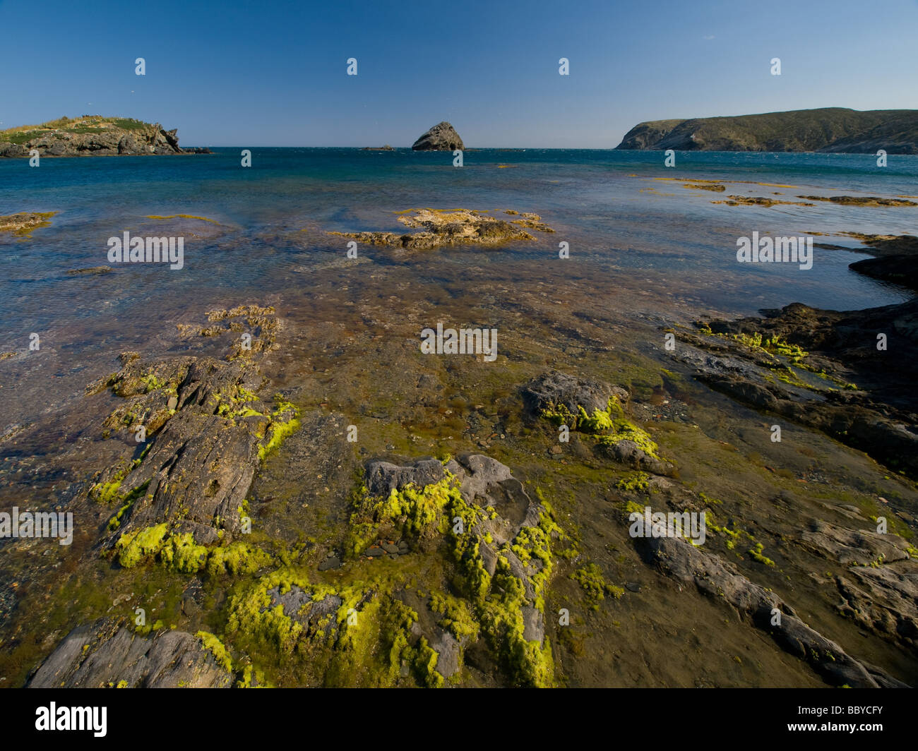 Tra terra e mare Foto Stock