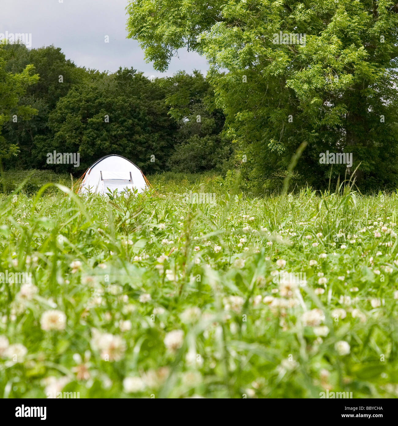 tenda nel campo Foto Stock