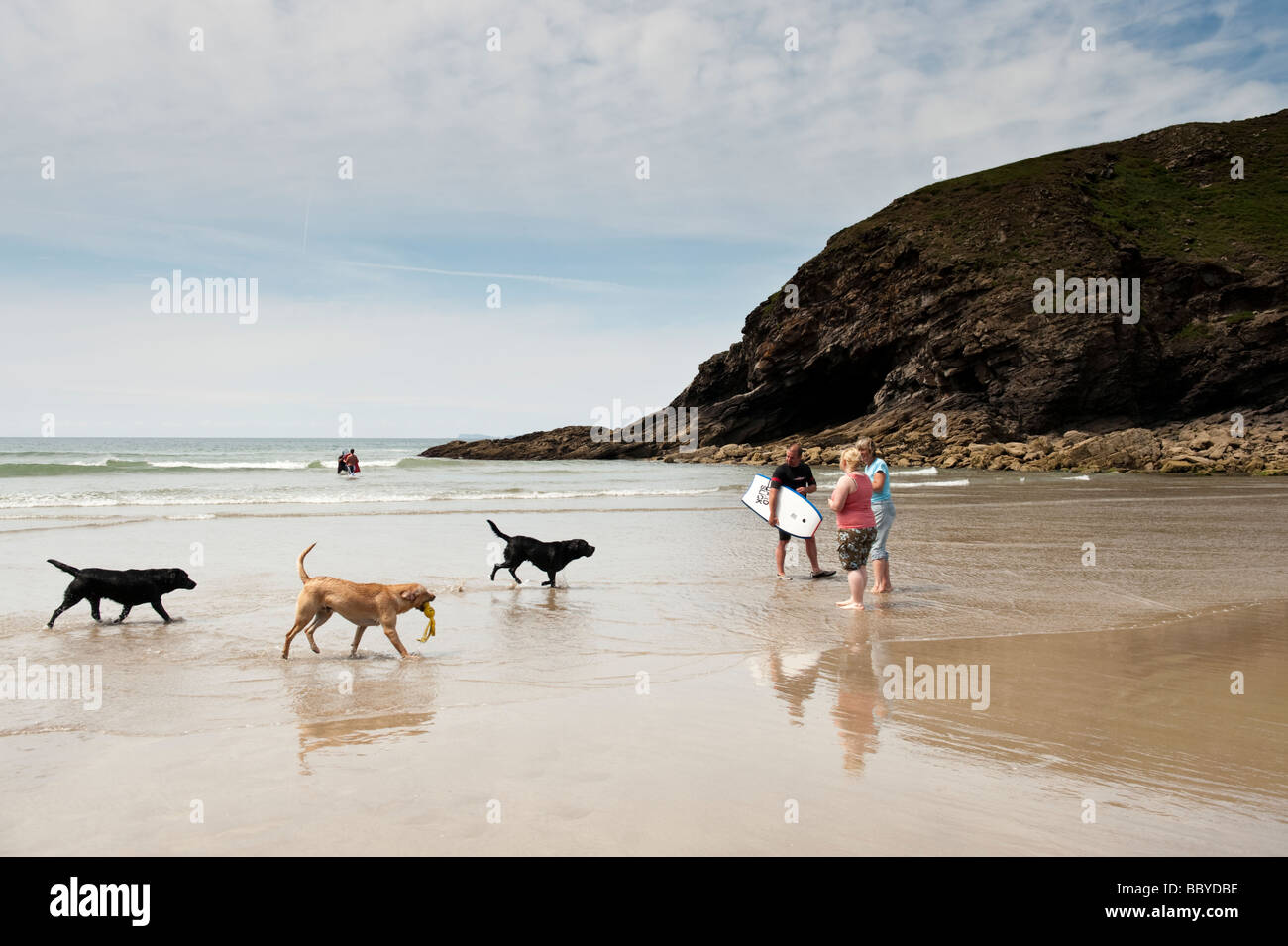 Una famiglia con i loro cani sulla spiaggia pomeriggio estivo Paradiso Nolton Pembrokeshire Coast National Park South West Wales UK Foto Stock