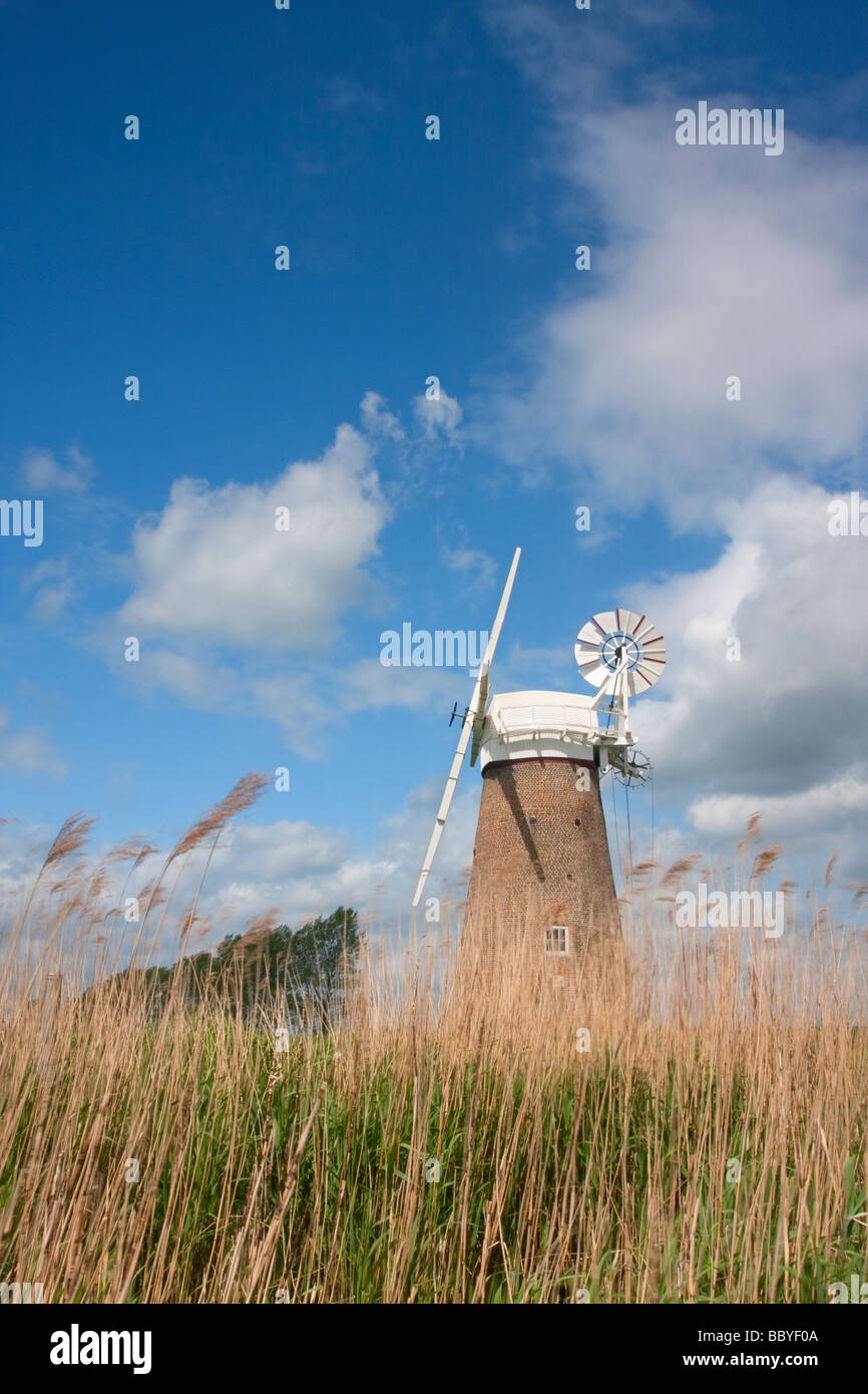 Drenaggio Hardley mulino recentley è stato completamente restaurato in Norfolk Broads con il restauro completato nel 2009 Foto Stock