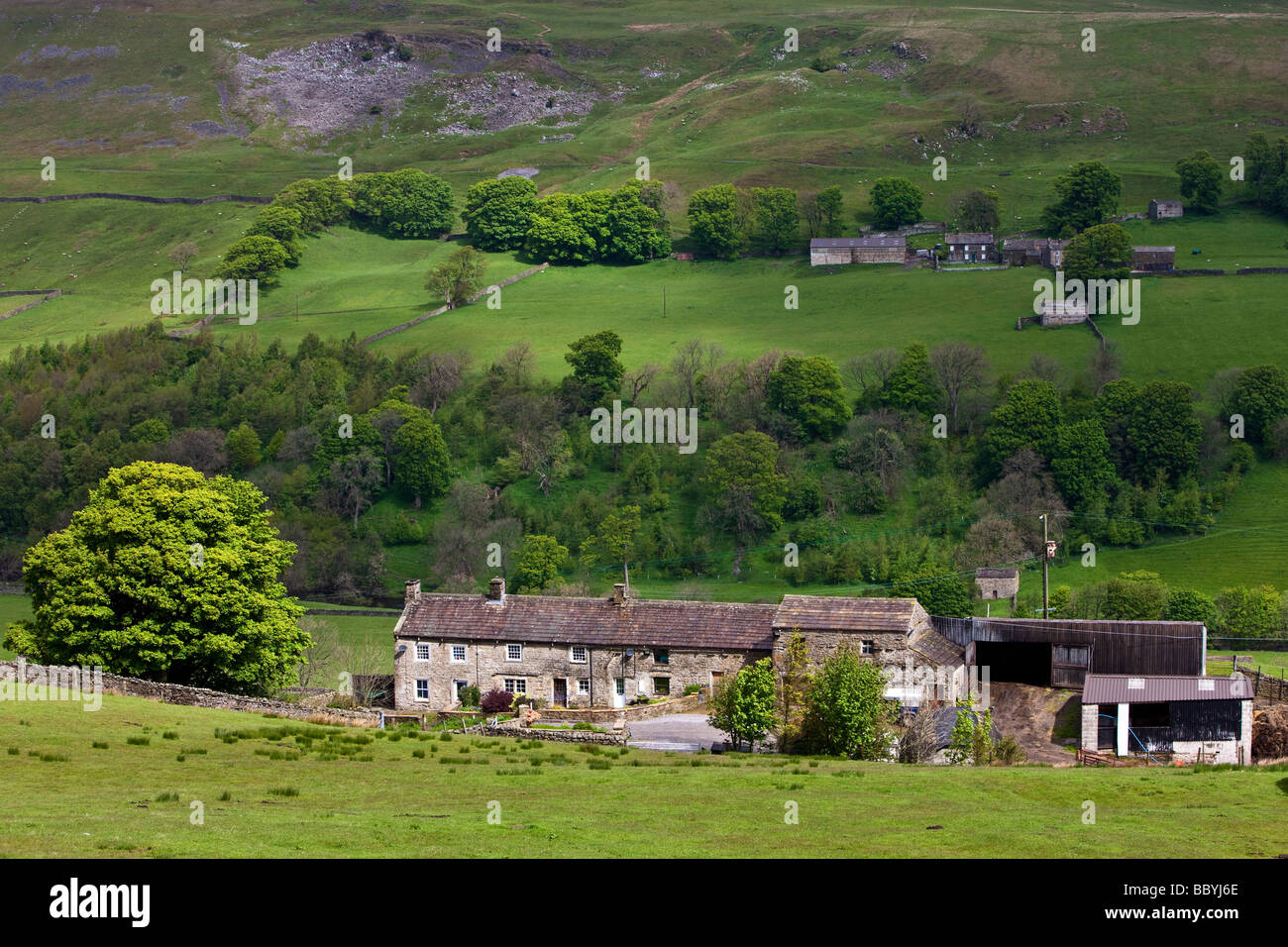 Fattoria Crowtrees Swaledale vicino Muker Swaledale Yorkshire Dales National Park Foto Stock