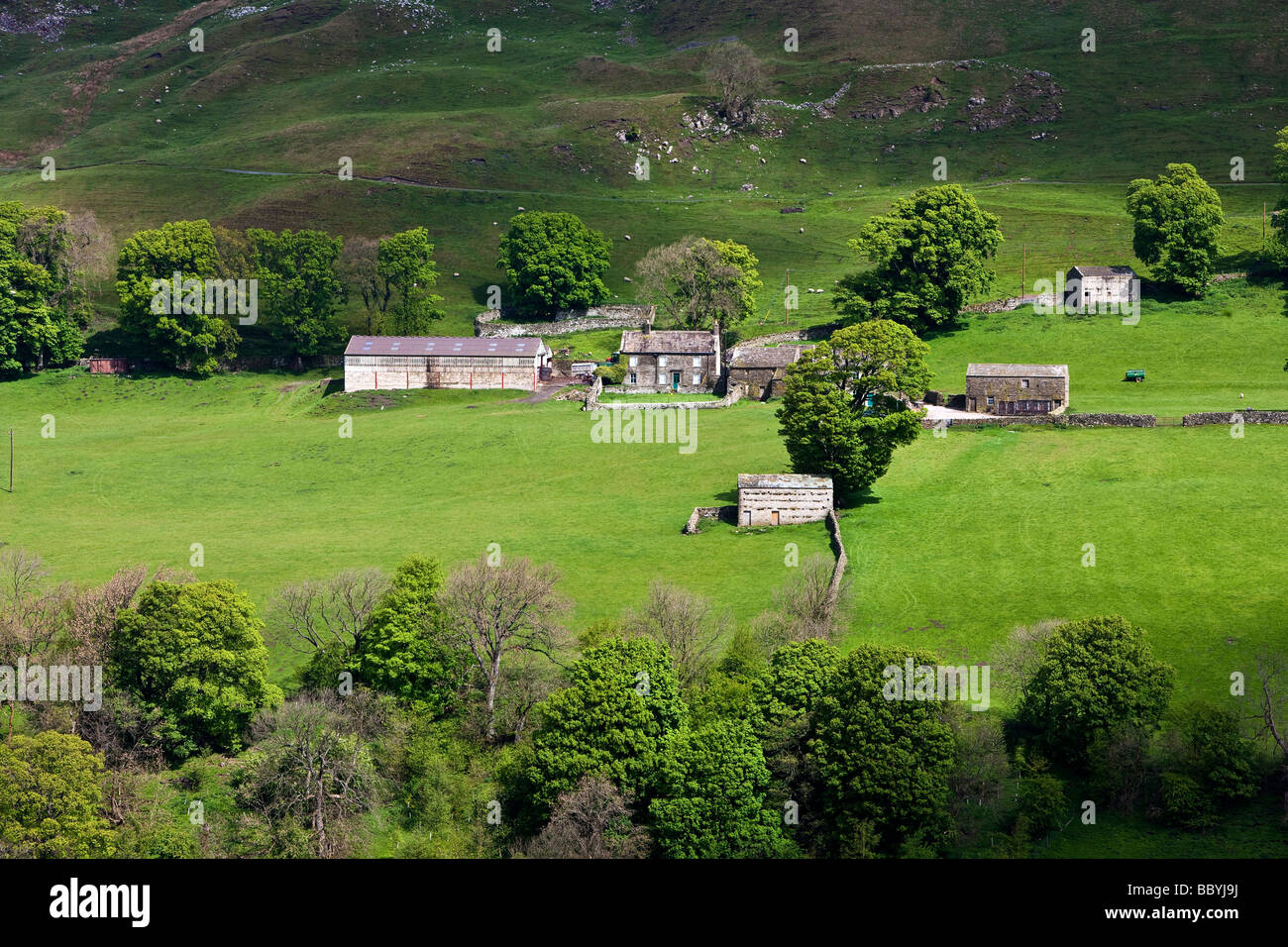 Calvert Case Swaledale fattoria vicino Muker Swaledale Yorkshire Dales National Park Foto Stock