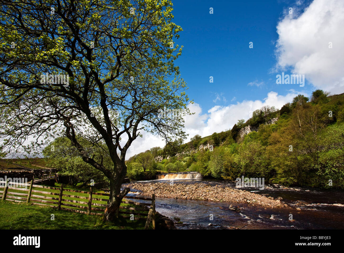 Wain Wath forza sotto Cotterby cicatrice Swaledale superiore nei pressi di Keld Swaledale Yorkshire Dales National Park Foto Stock