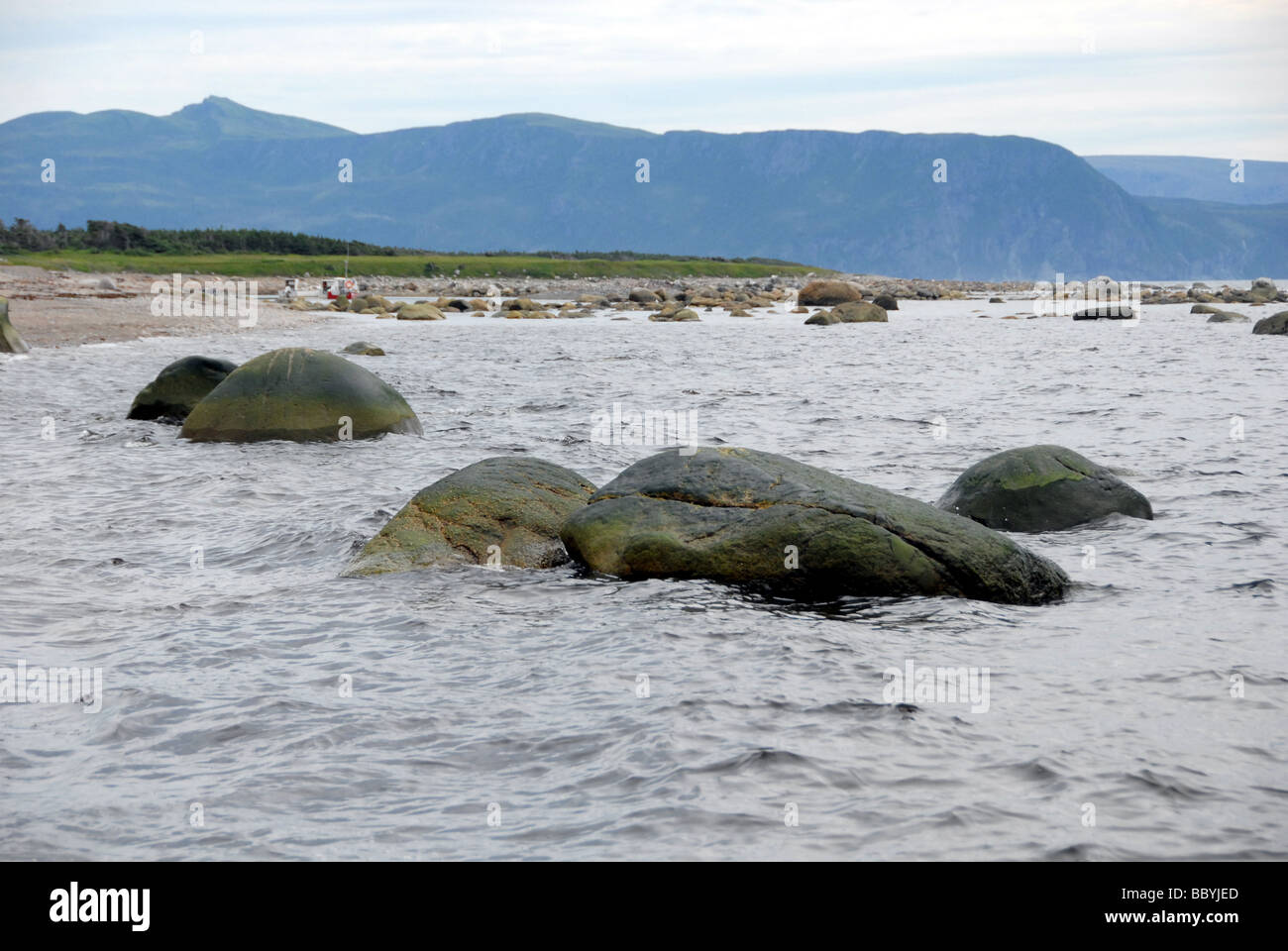 West coast Terranova in Canada Foto Stock