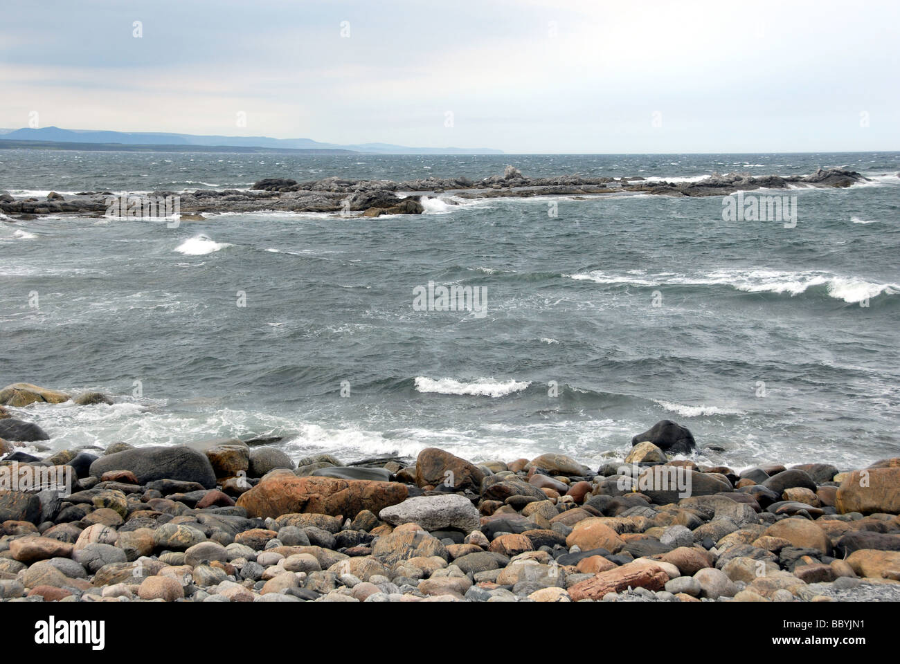 West coast Terranova in Canada Foto Stock